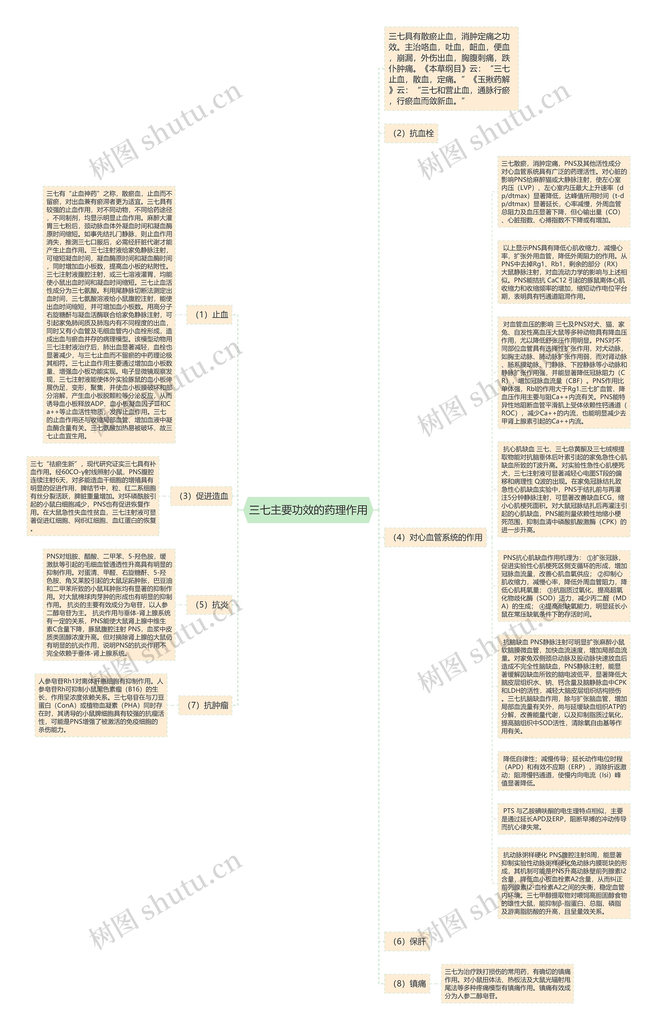 三七主要功效的药理作用思维导图