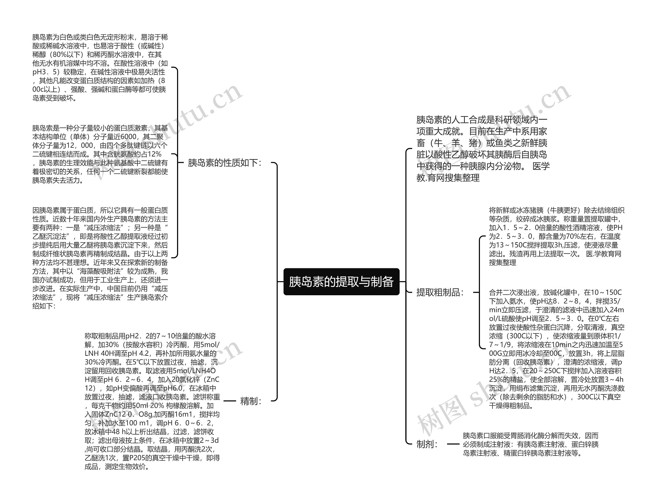 胰岛素的提取与制备思维导图