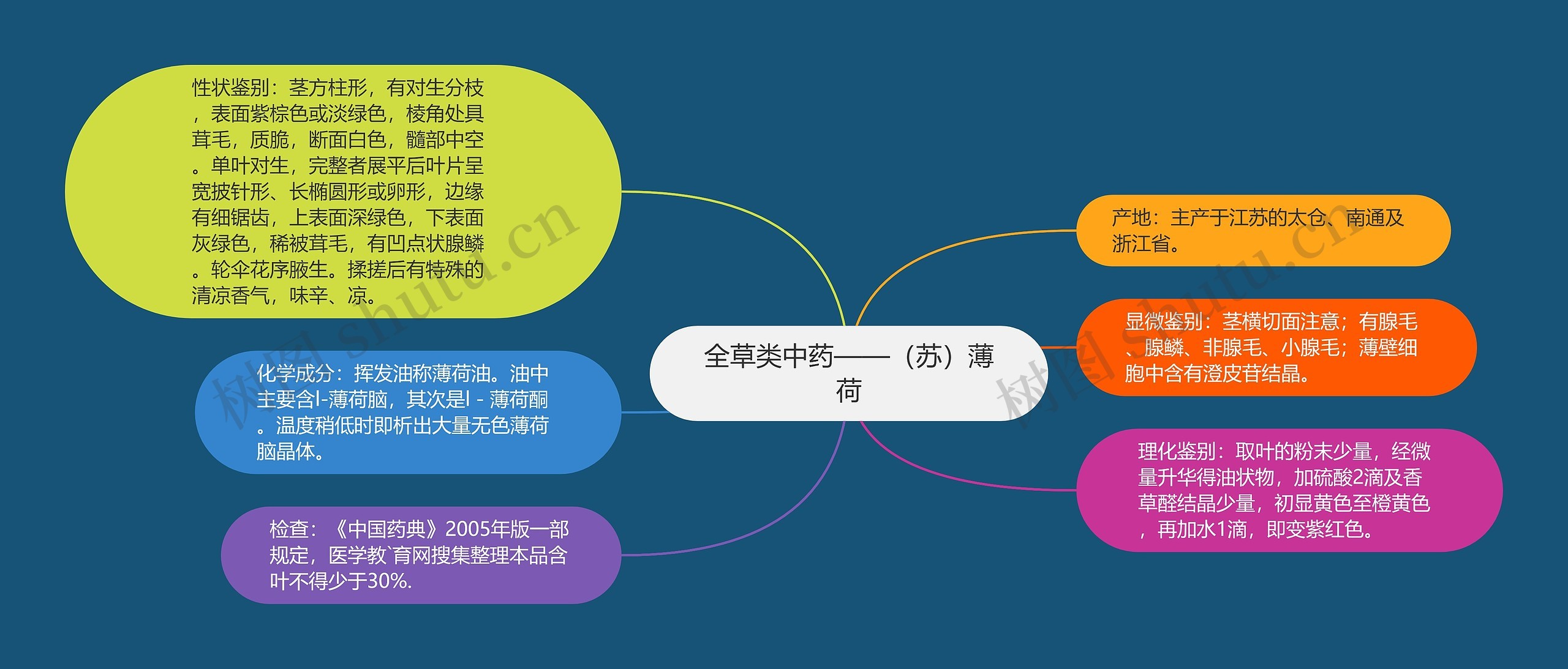 全草类中药——（苏）薄荷思维导图