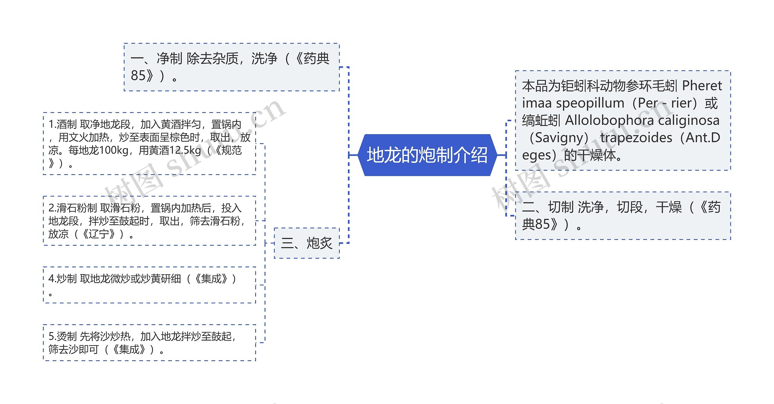 地龙的炮制介绍思维导图