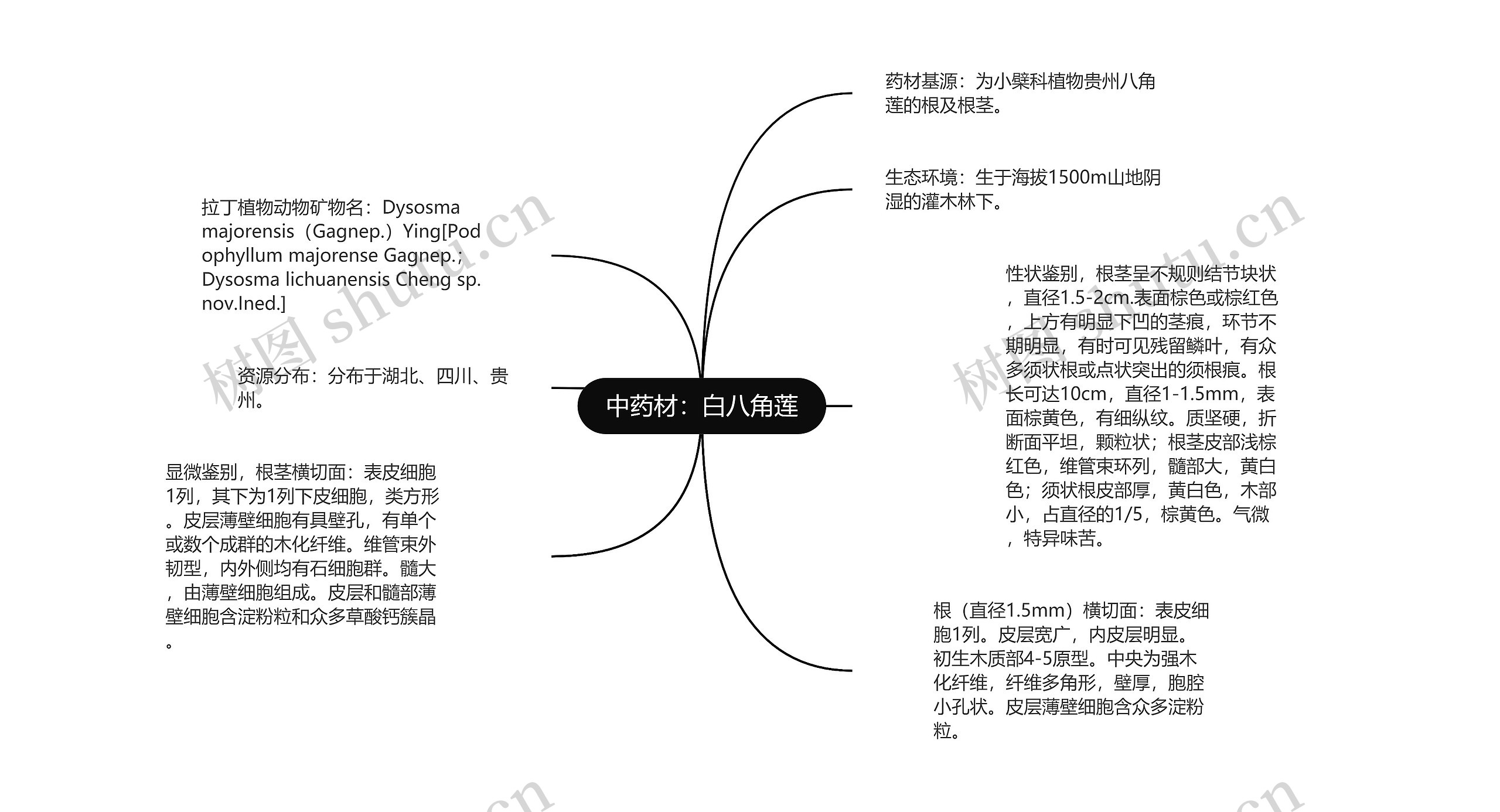 中药材：白八角莲思维导图