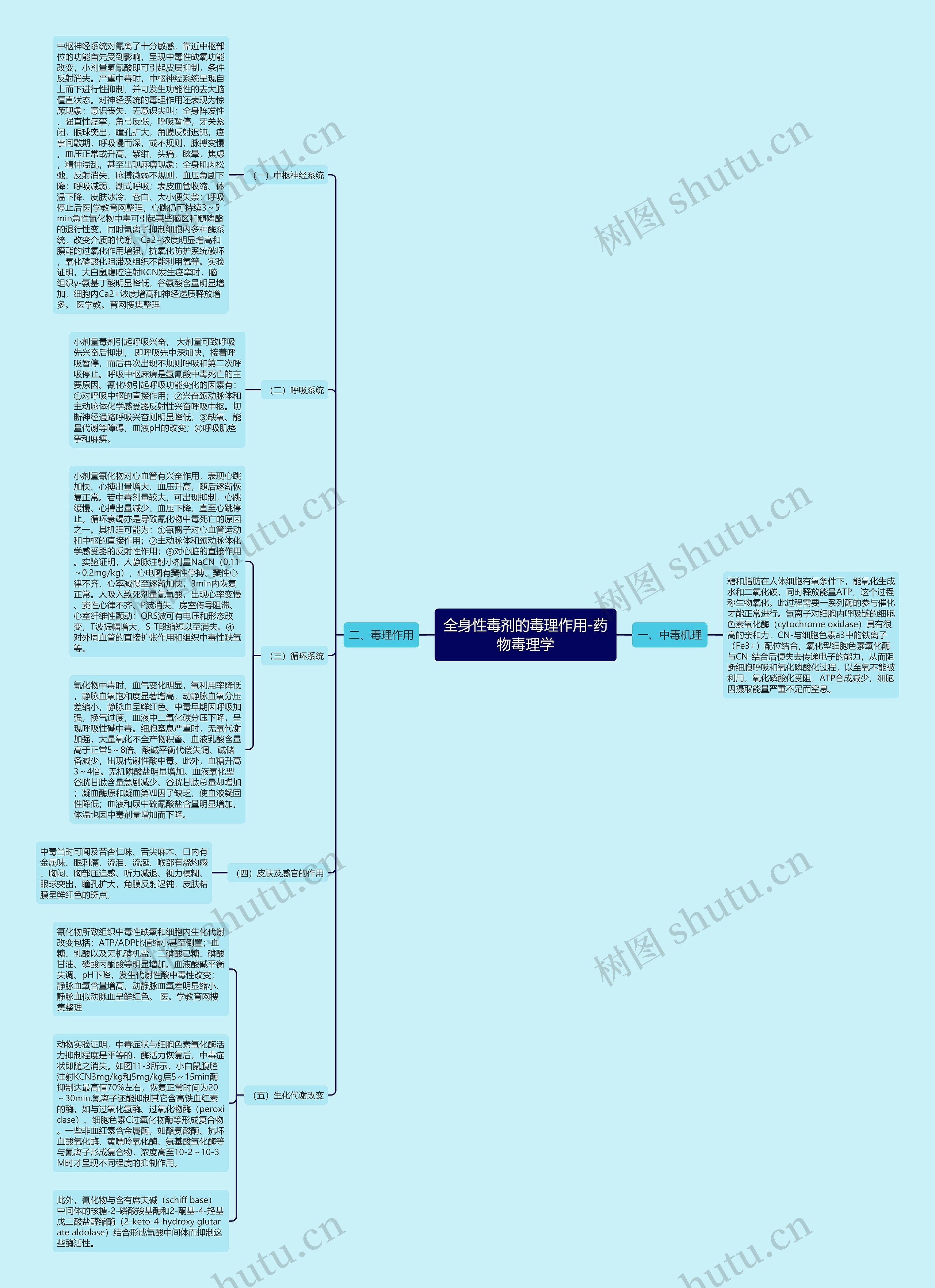 全身性毒剂的毒理作用-药物毒理学思维导图