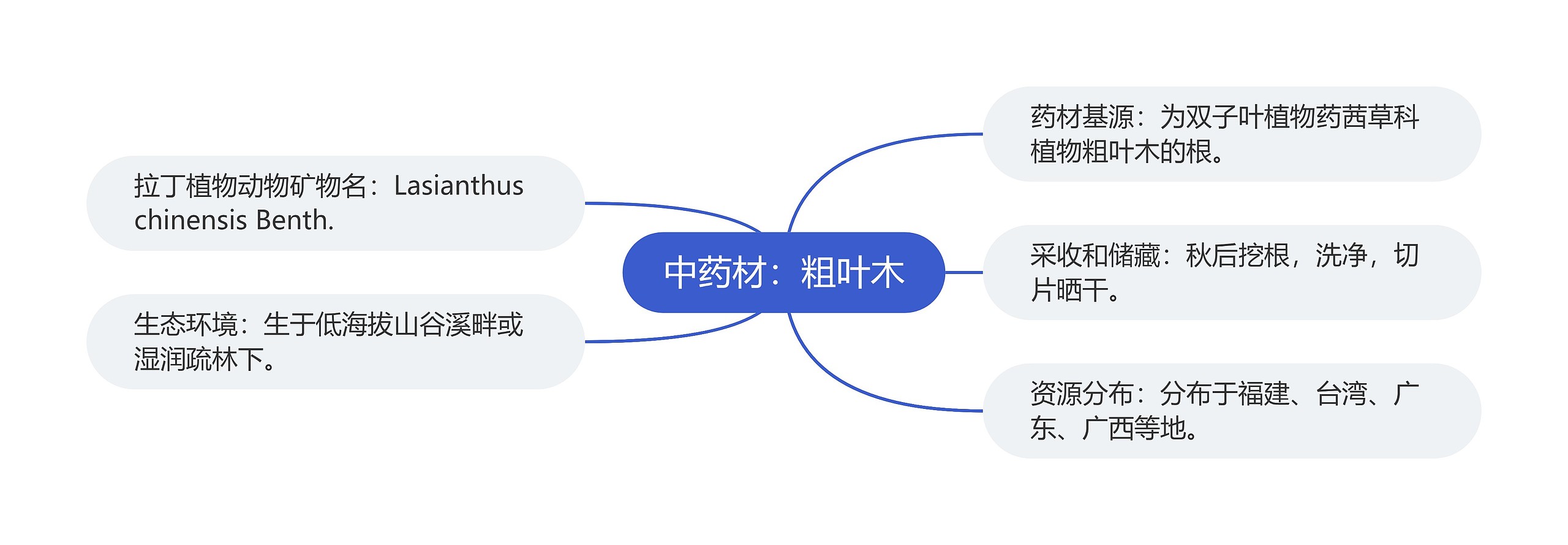 中药材：粗叶木思维导图