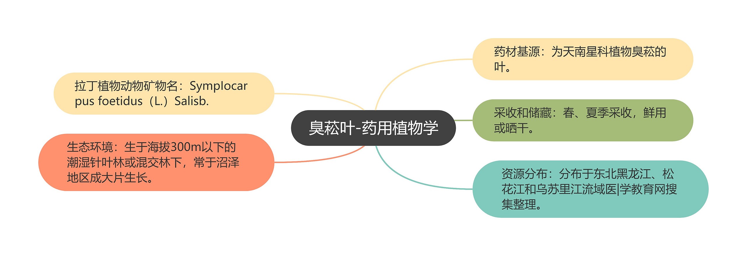 臭菘叶-药用植物学思维导图