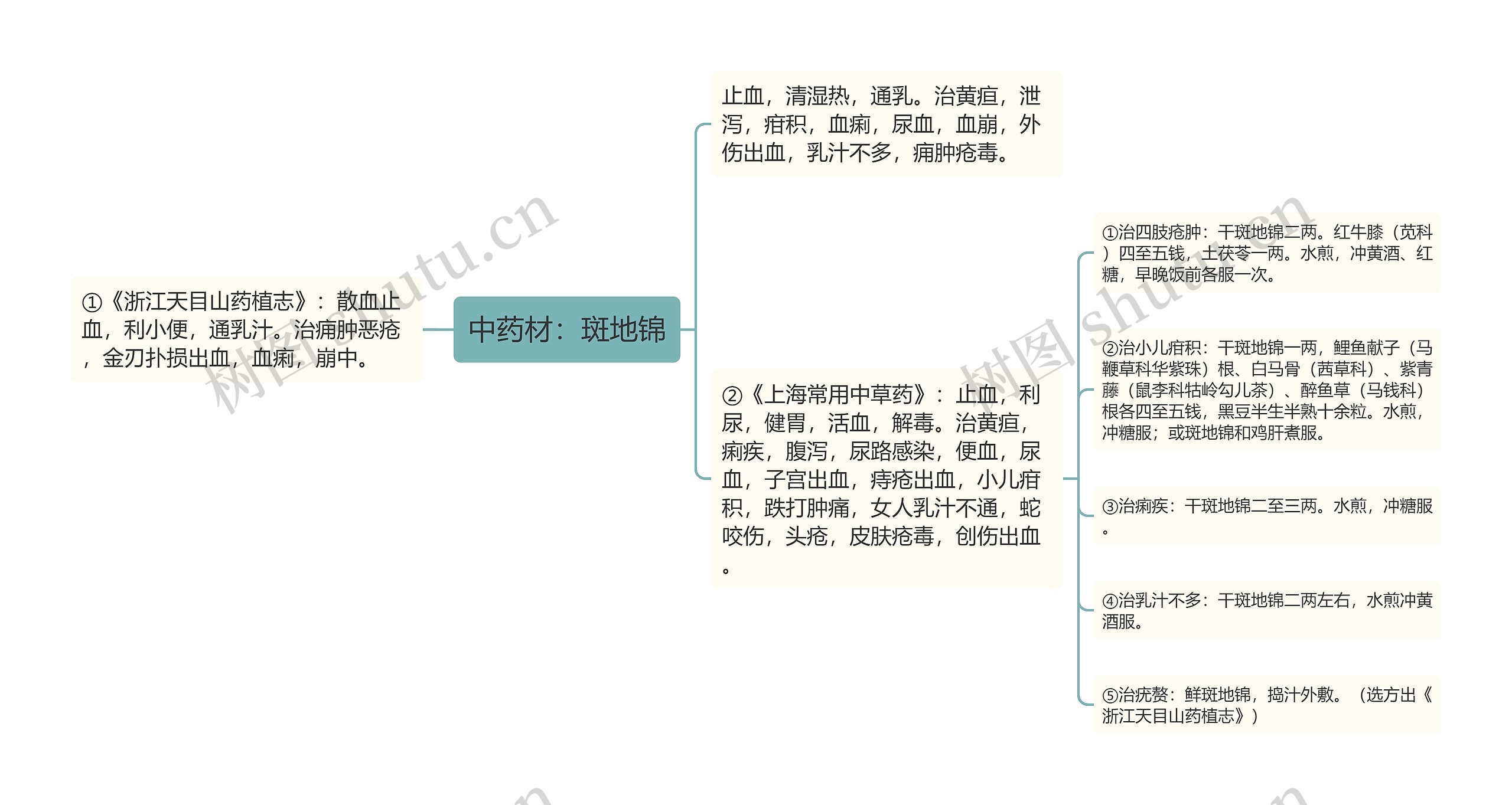 中药材：斑地锦思维导图