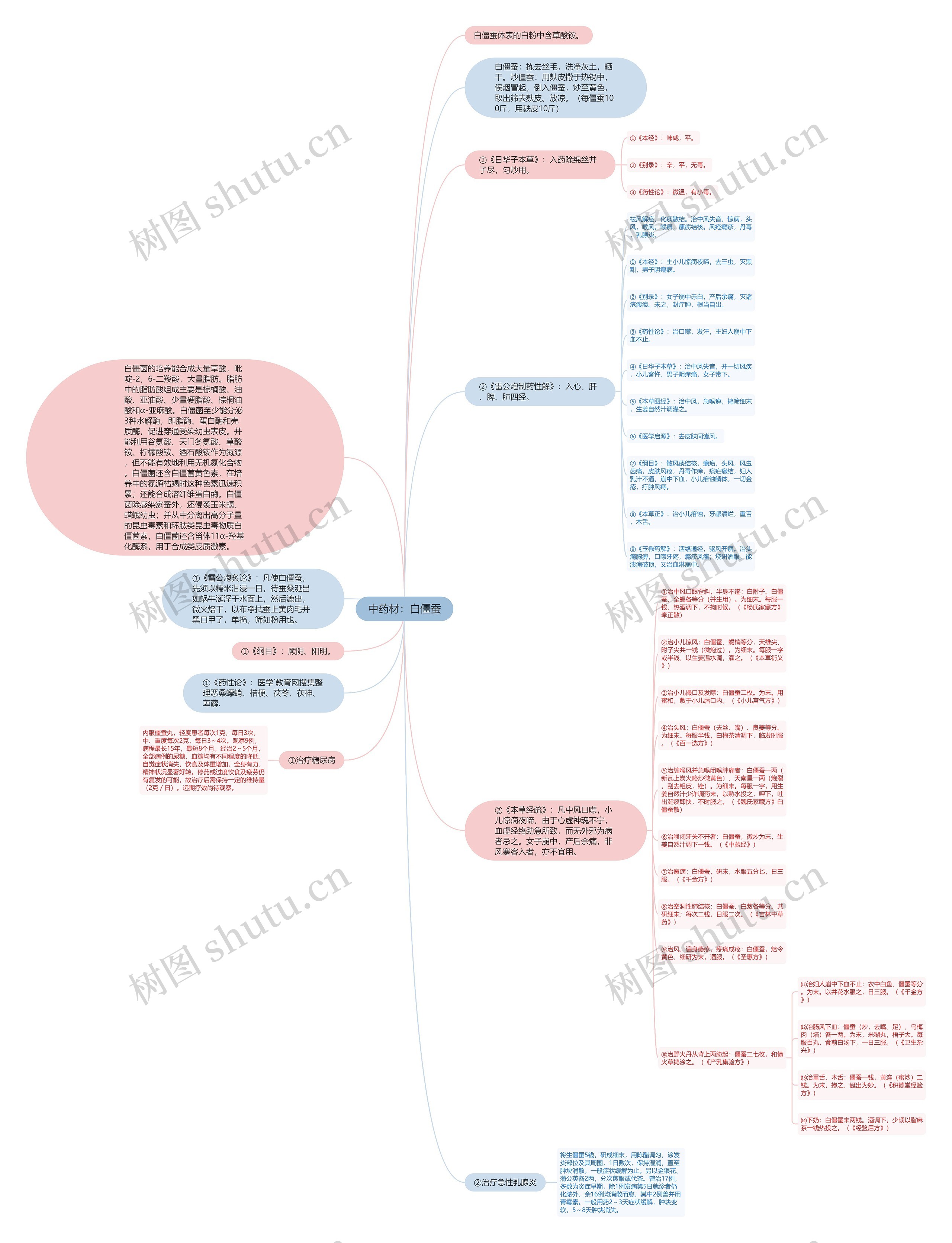 中药材：白僵蚕思维导图