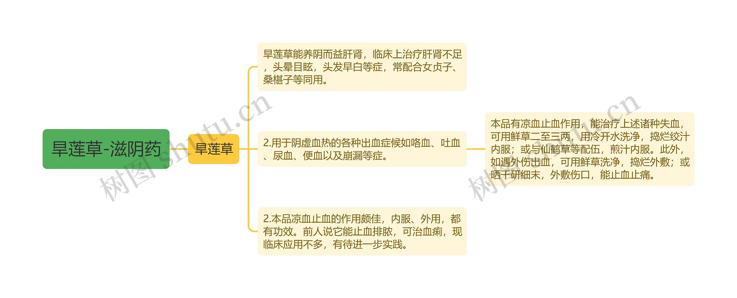 旱莲草-滋阴药 旱莲草-滋阴药