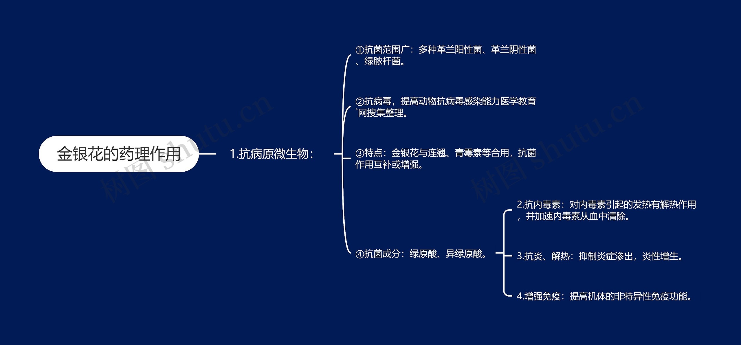 金银花的药理作用思维导图