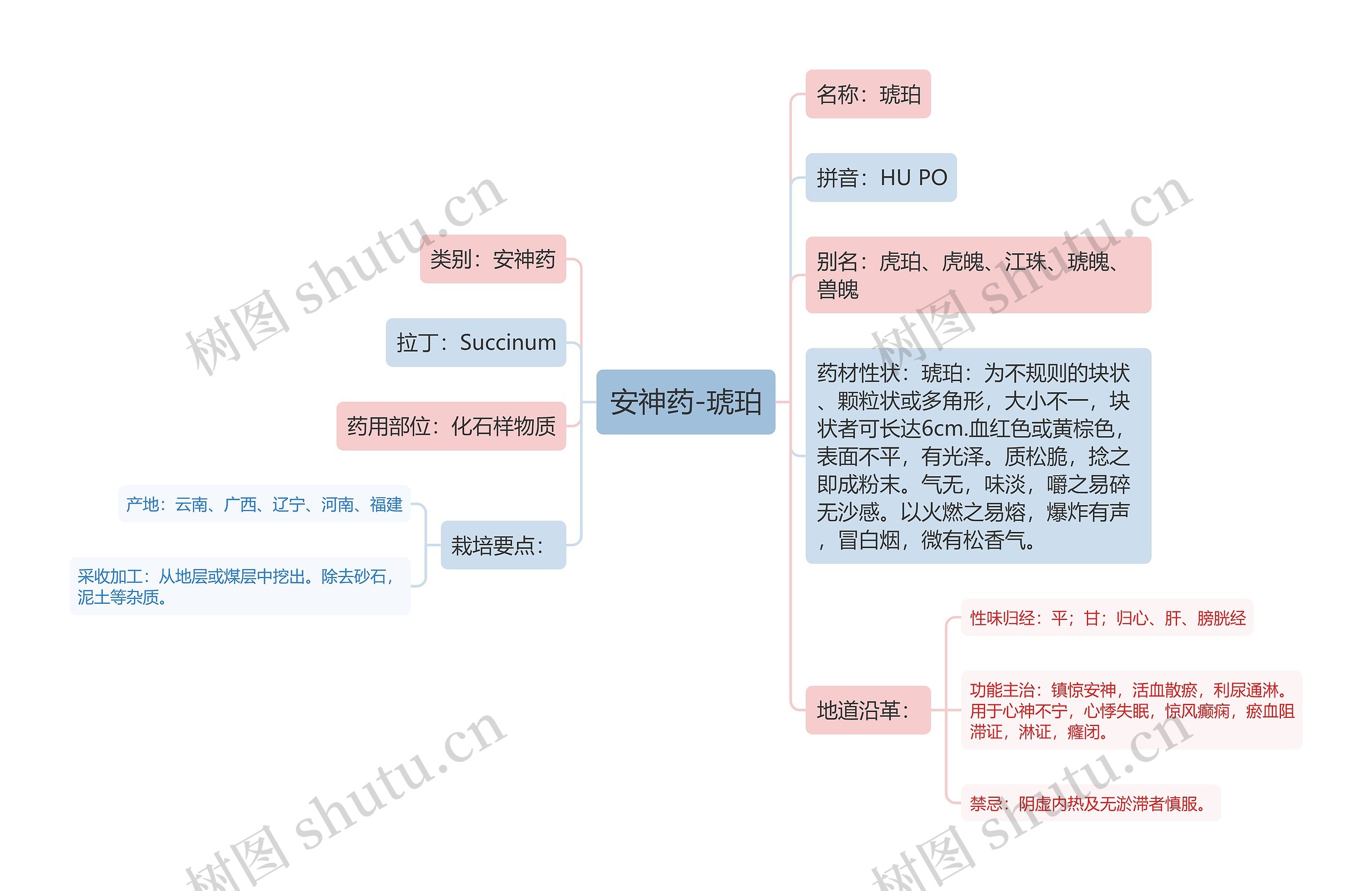 安神药-琥珀思维导图