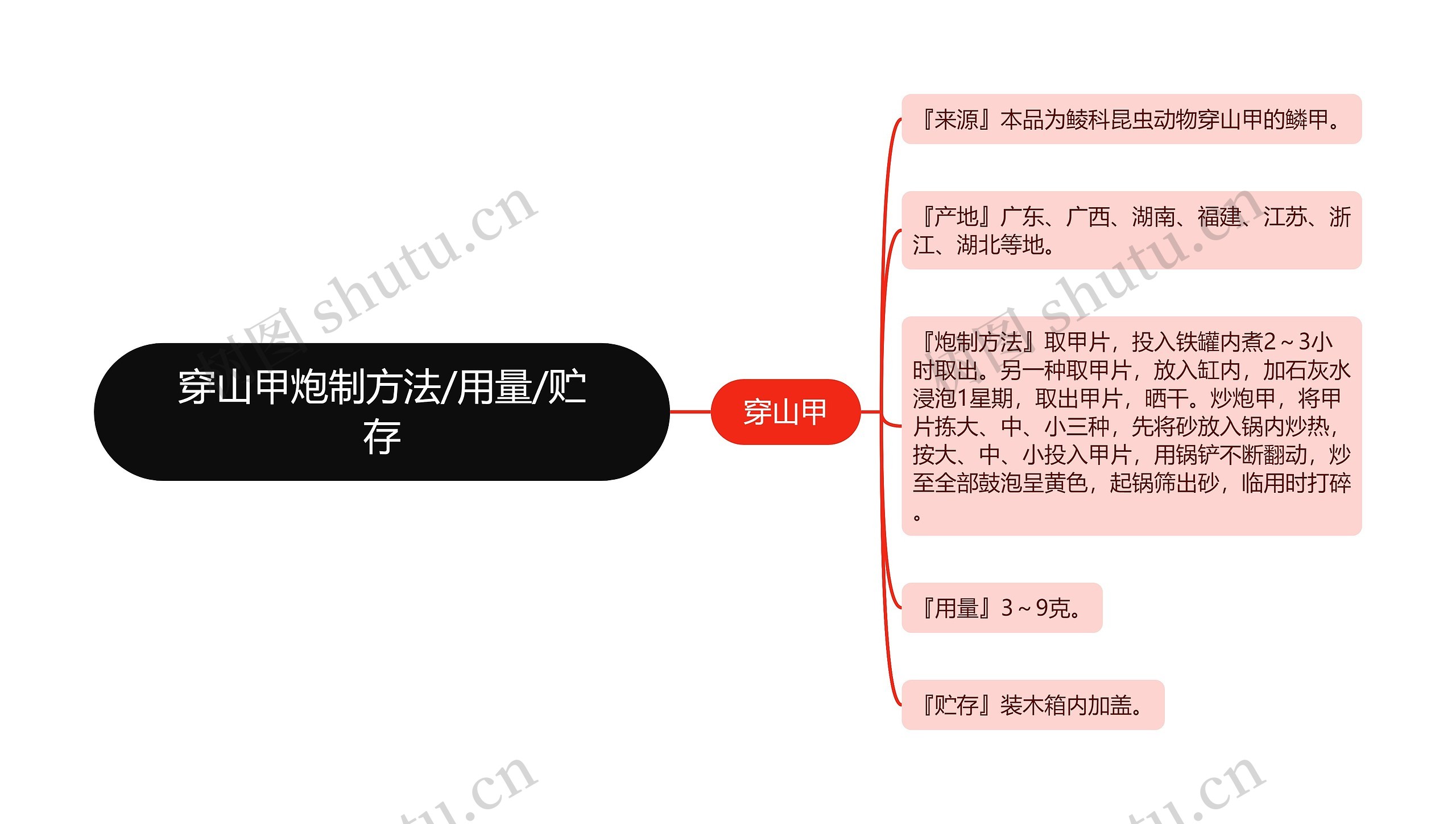 穿山甲炮制方法/用量/贮存思维导图