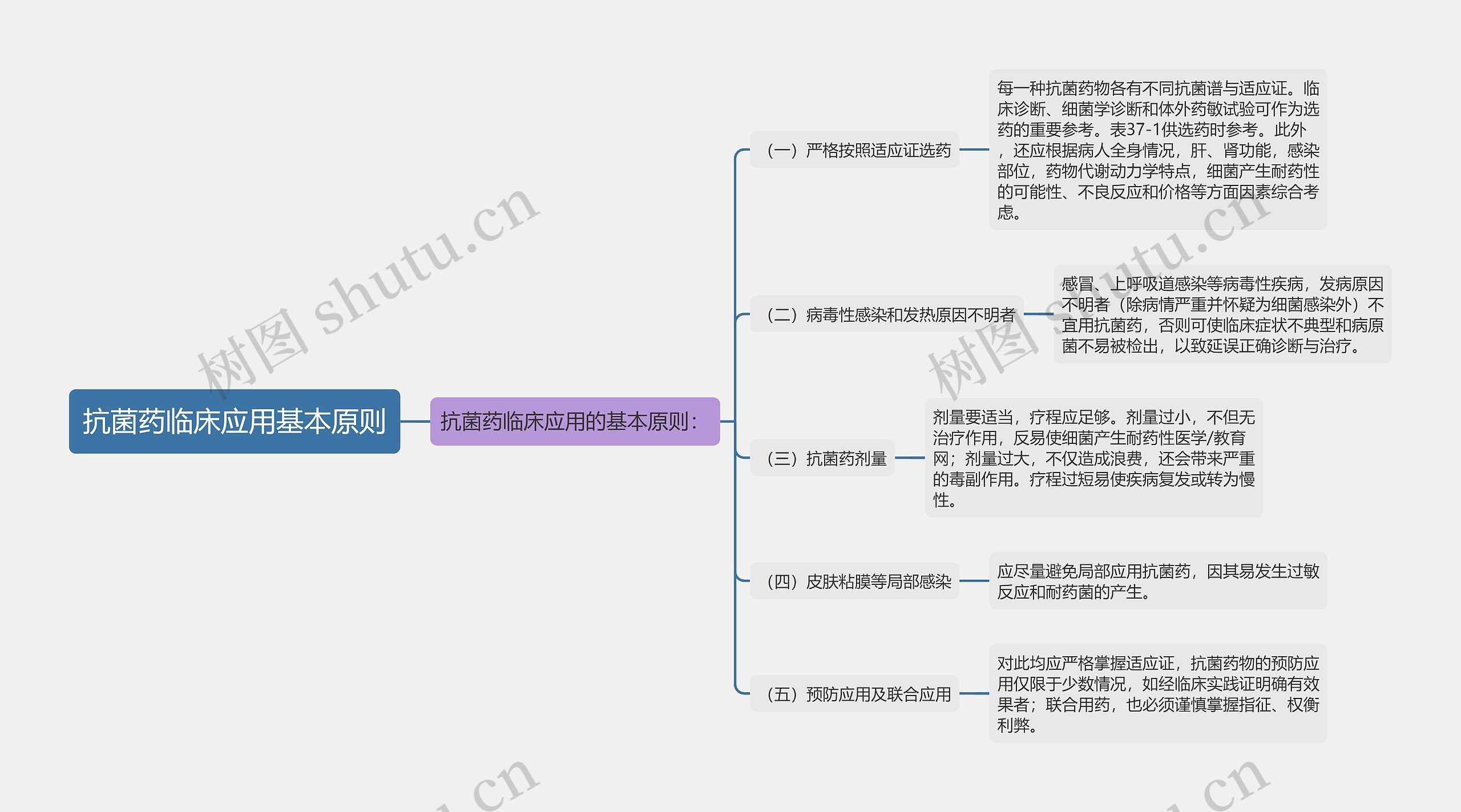 抗菌药临床应用基本原则思维导图