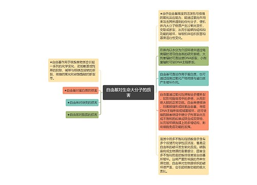 自由基对生命大分子的损害