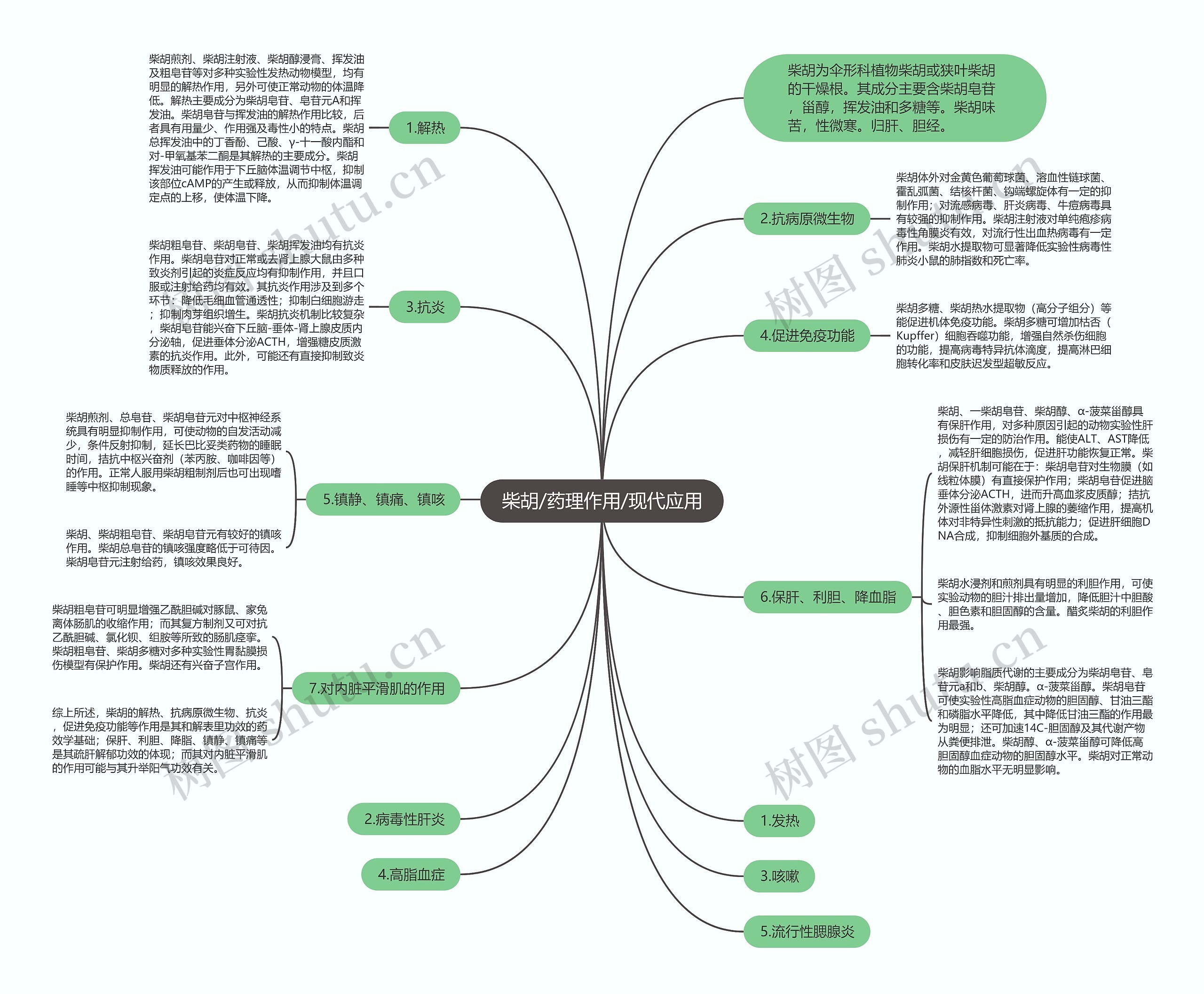 柴胡/药理作用/现代应用思维导图