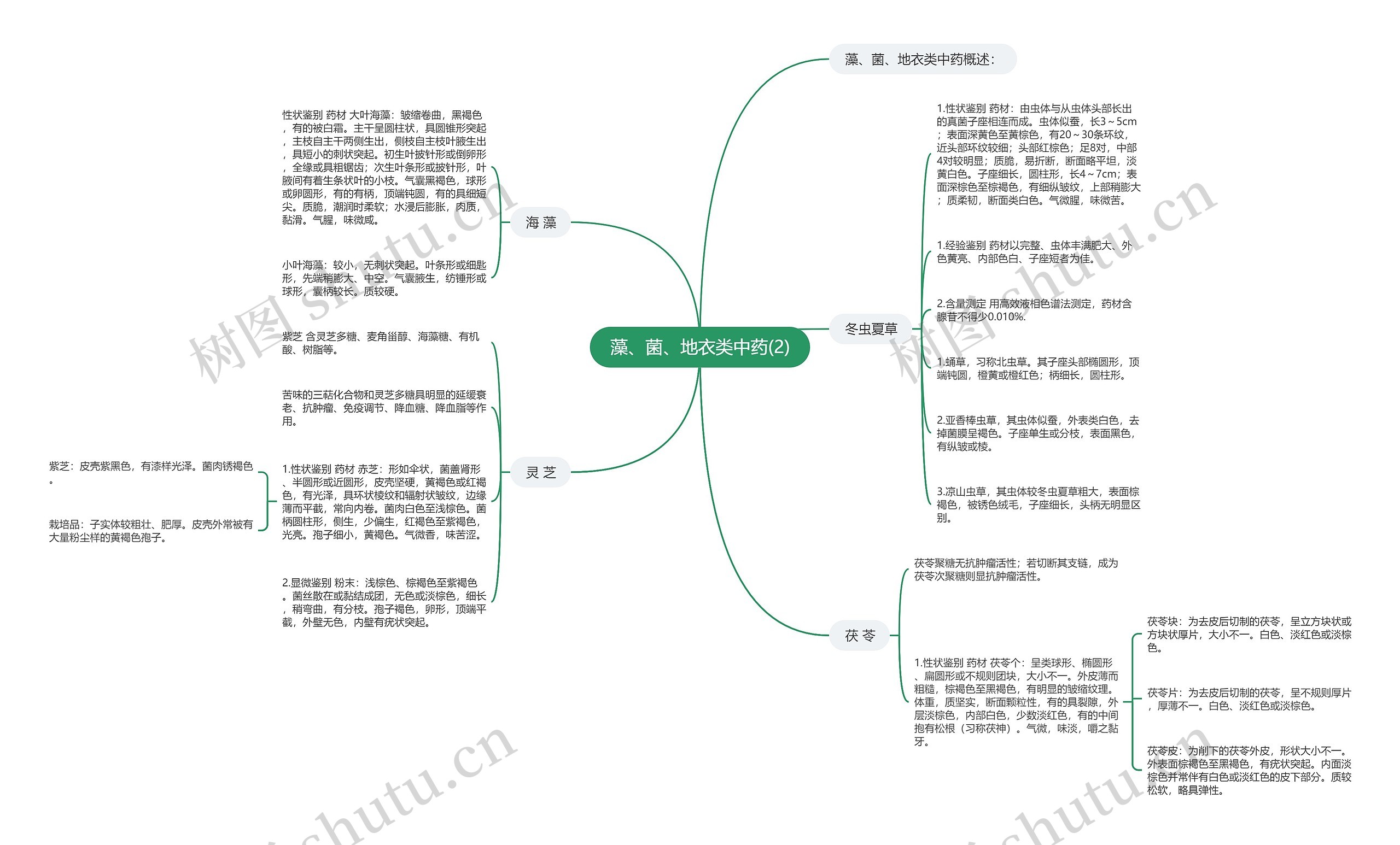 藻、菌、地衣类中药(2) 藻、菌、地衣类中药(2)