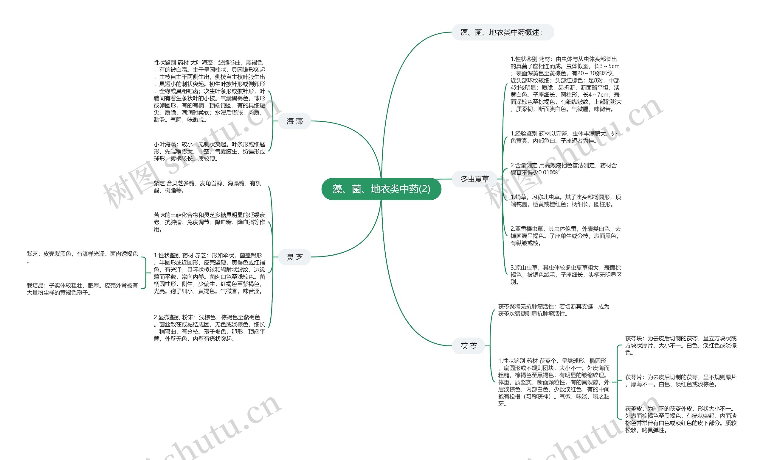 藻、菌、地衣类中药(2)思维导图