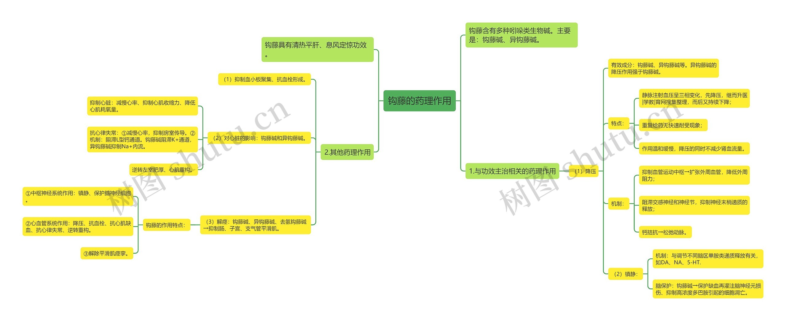 钩藤的药理作用思维导图