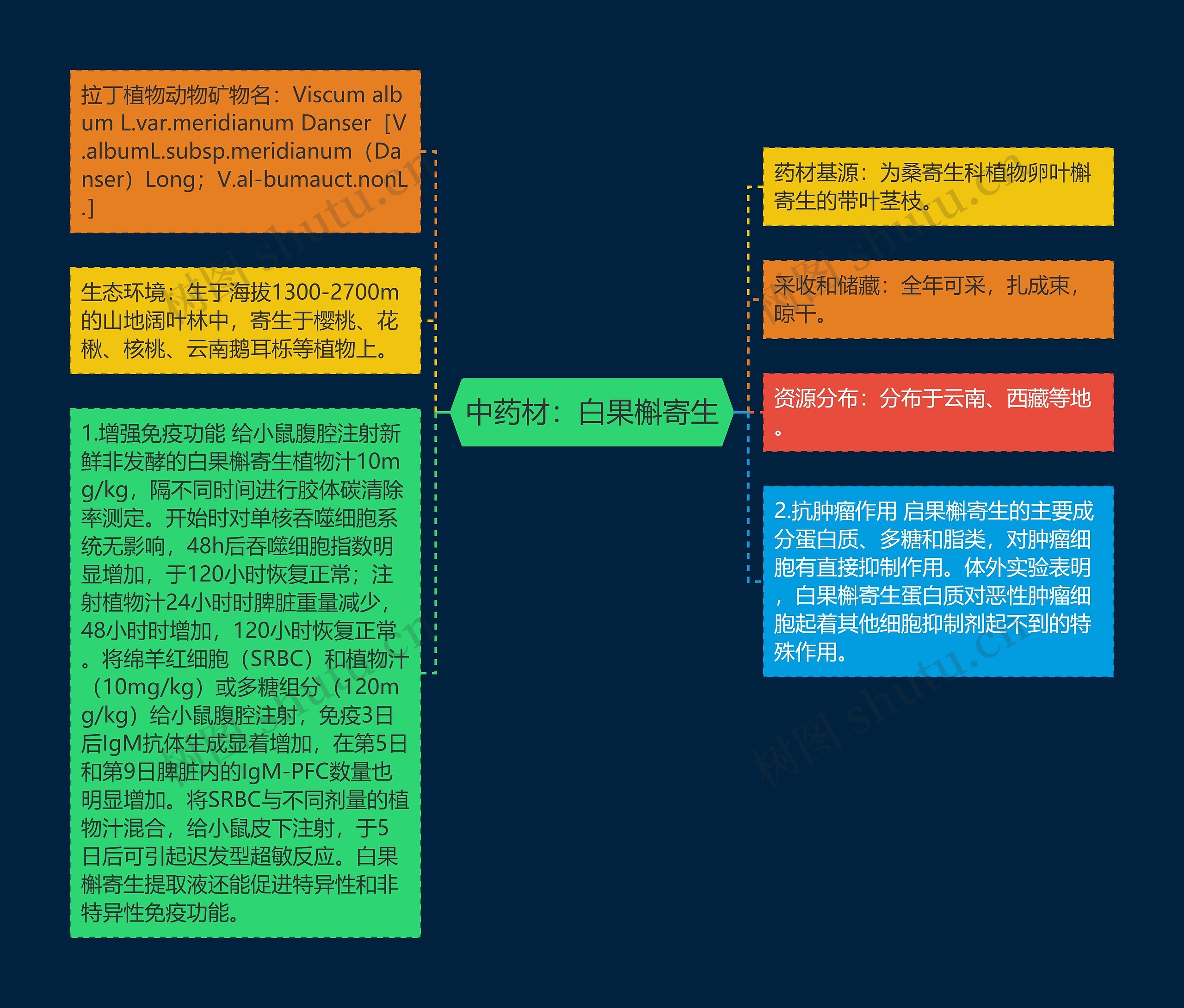 中药材：白果槲寄生思维导图