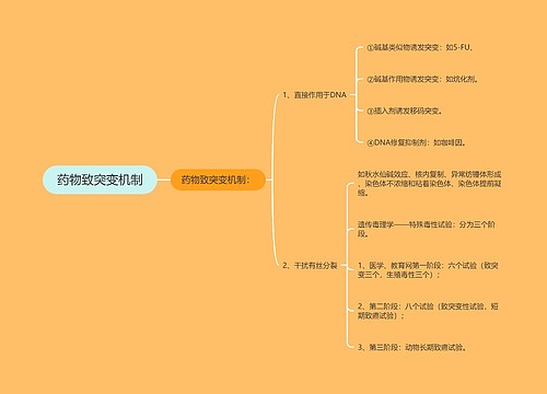 药物致突变机制