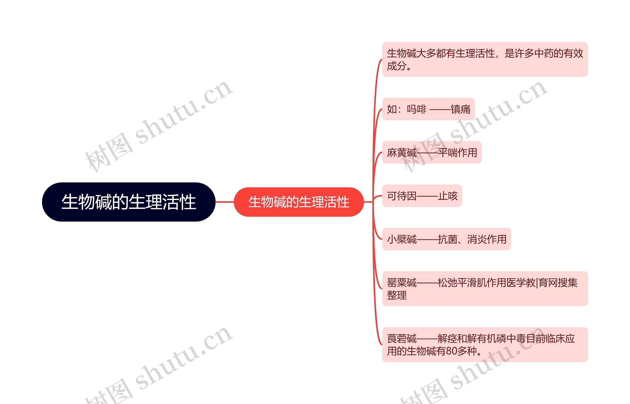 生物碱的生理活性思维导图