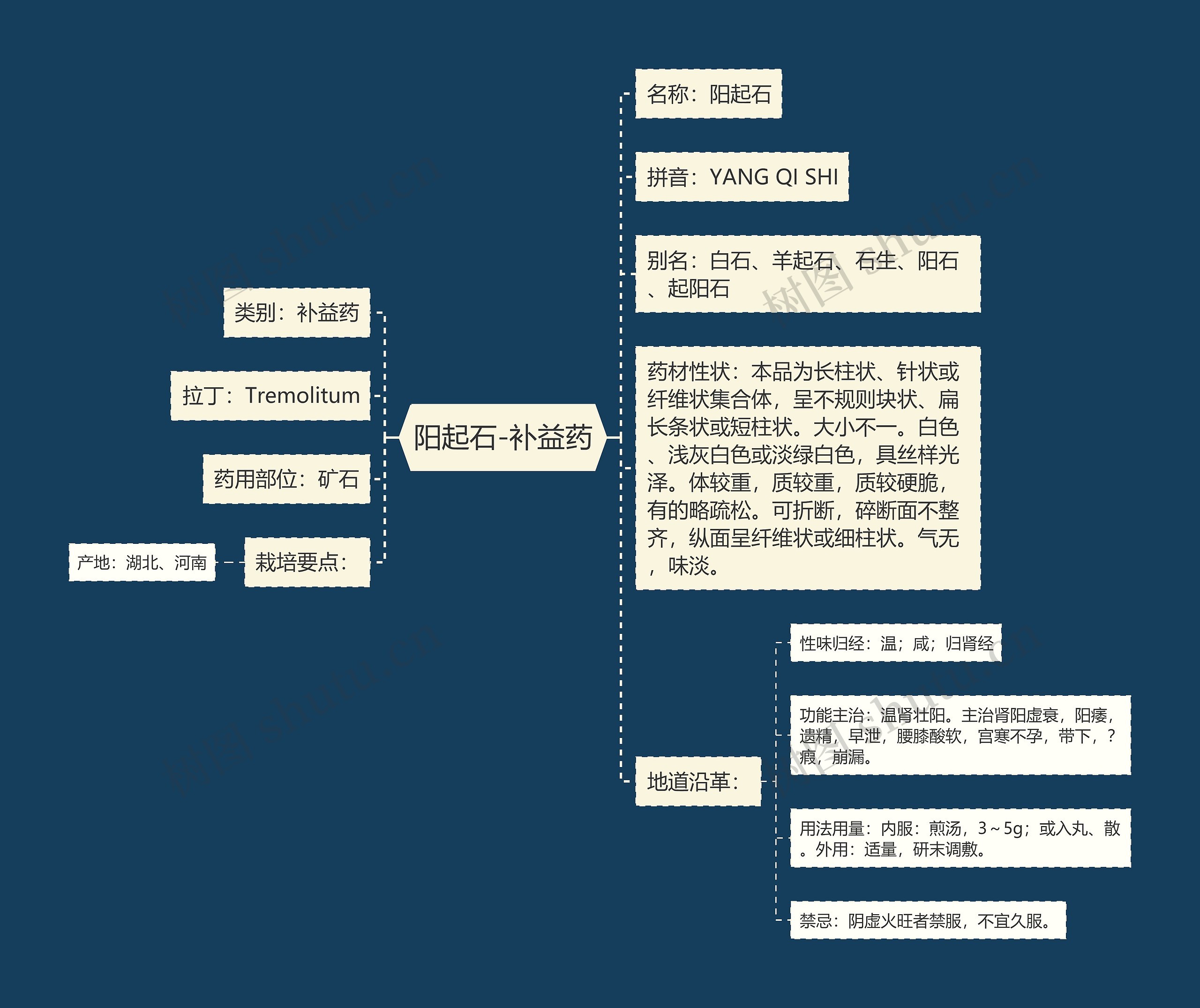 阳起石-补益药思维导图