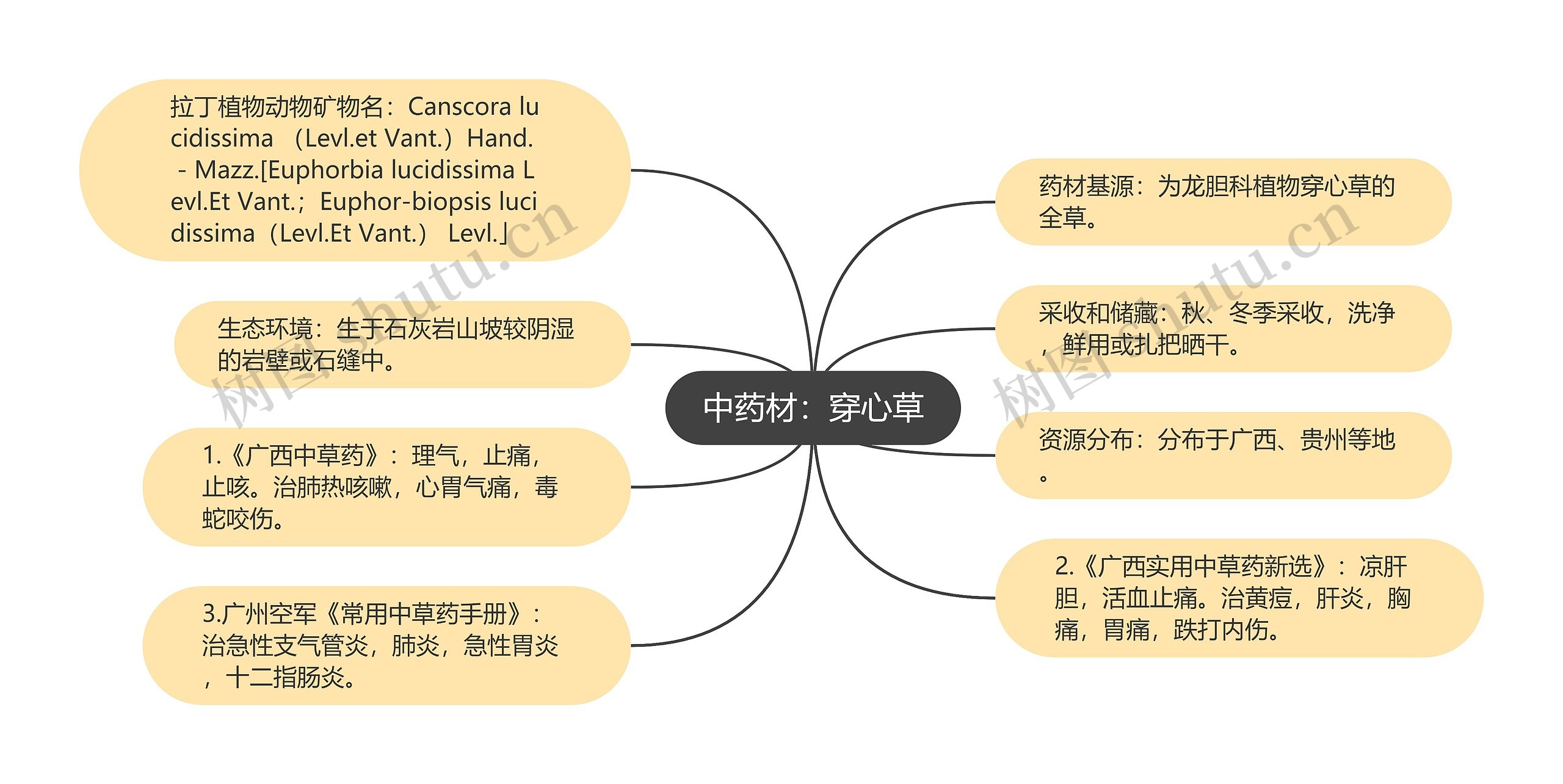 中药材：穿心草思维导图