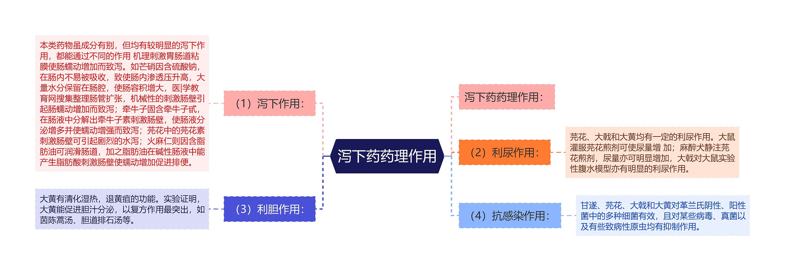 泻下药药理作用思维导图