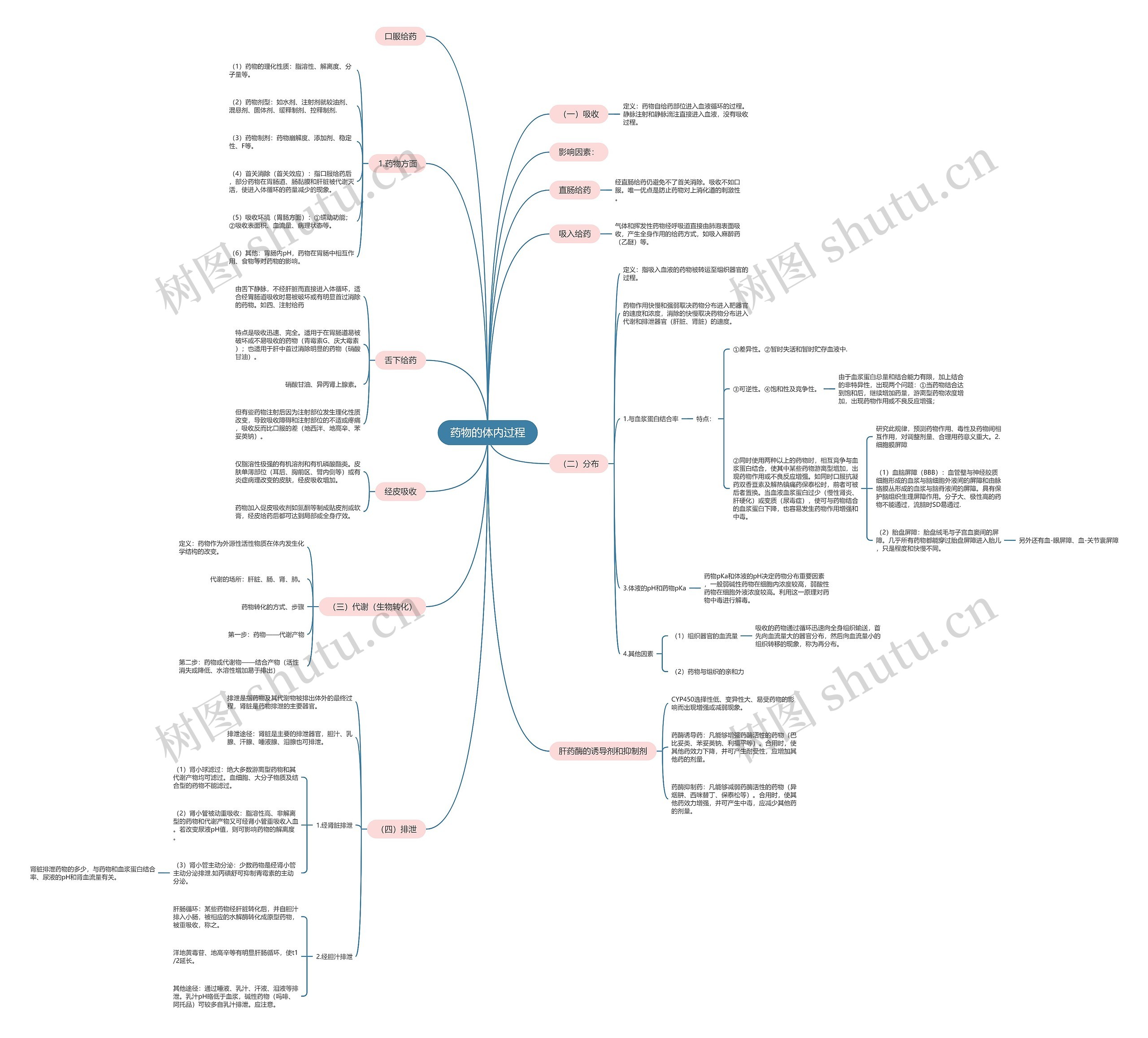 药物的体内过程思维导图