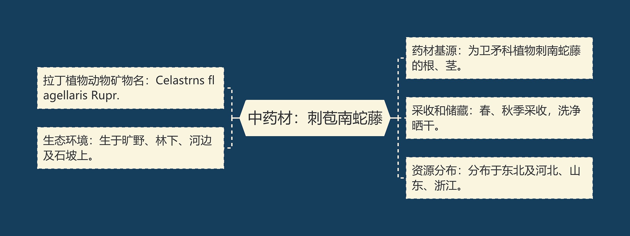 中药材：刺苞南蛇藤