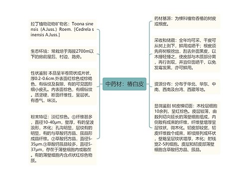 中药材：椿白皮