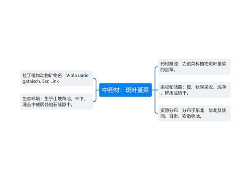 中药材：斑叶堇菜