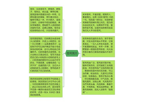 苍耳简介