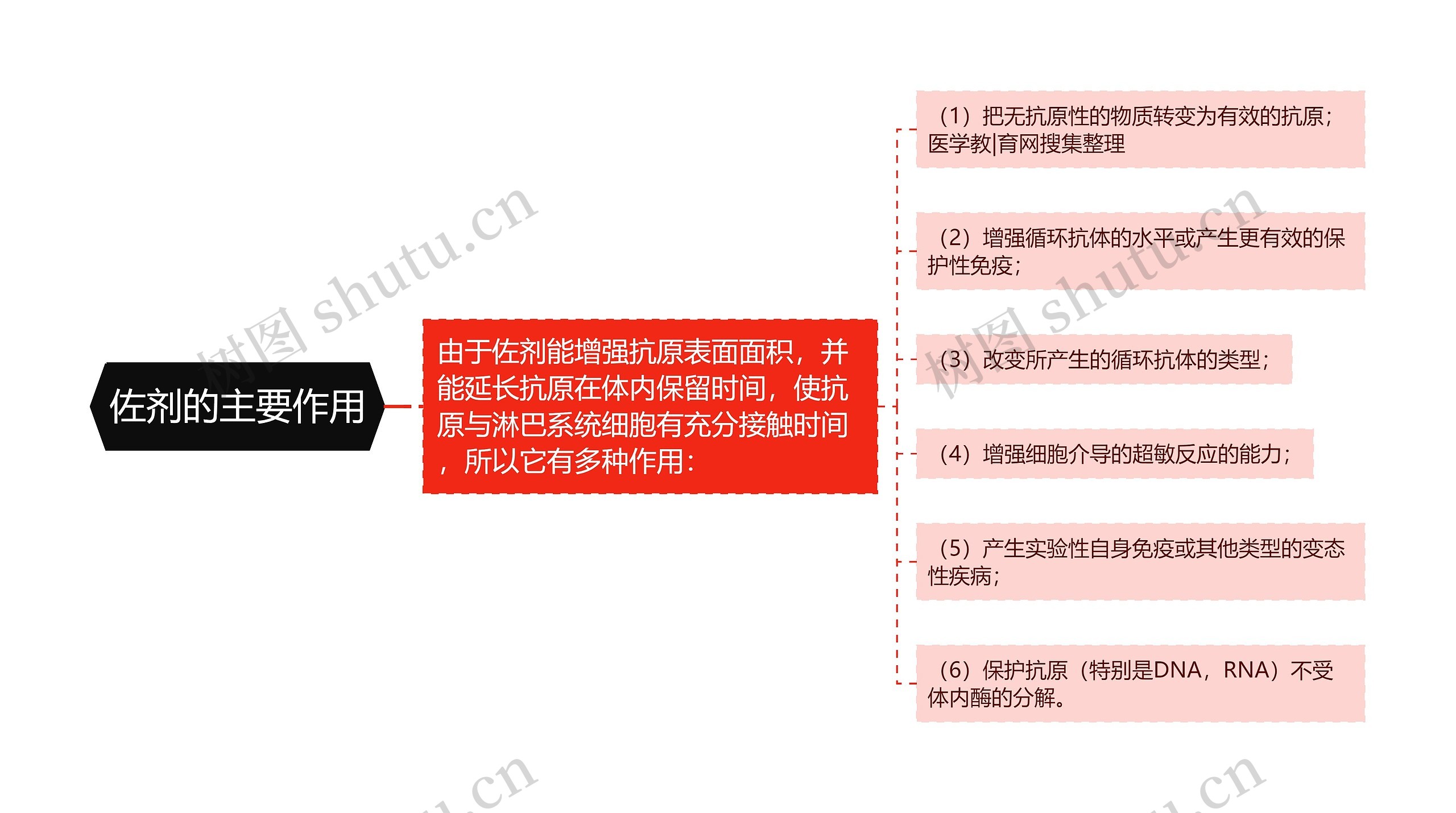 佐剂的主要作用思维导图