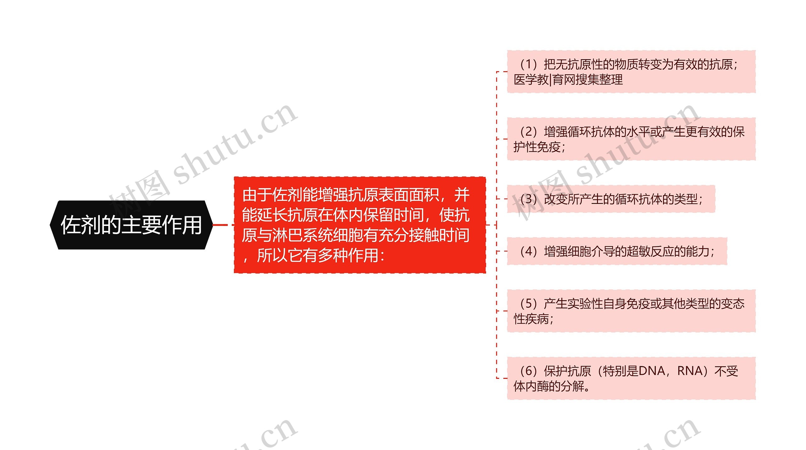 佐剂的主要作用 佐剂的主要作用