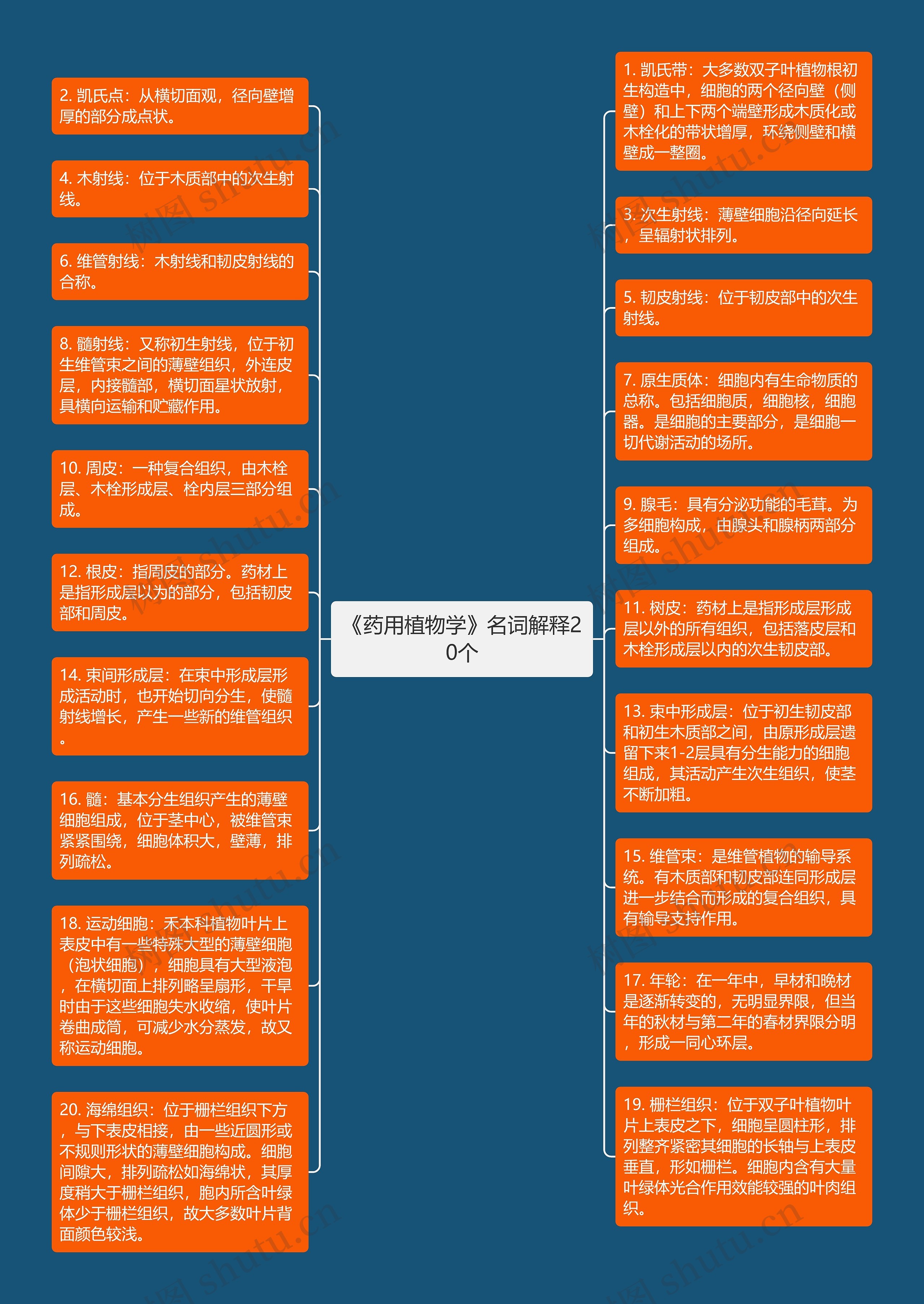 《药用植物学》名词解释20个思维导图