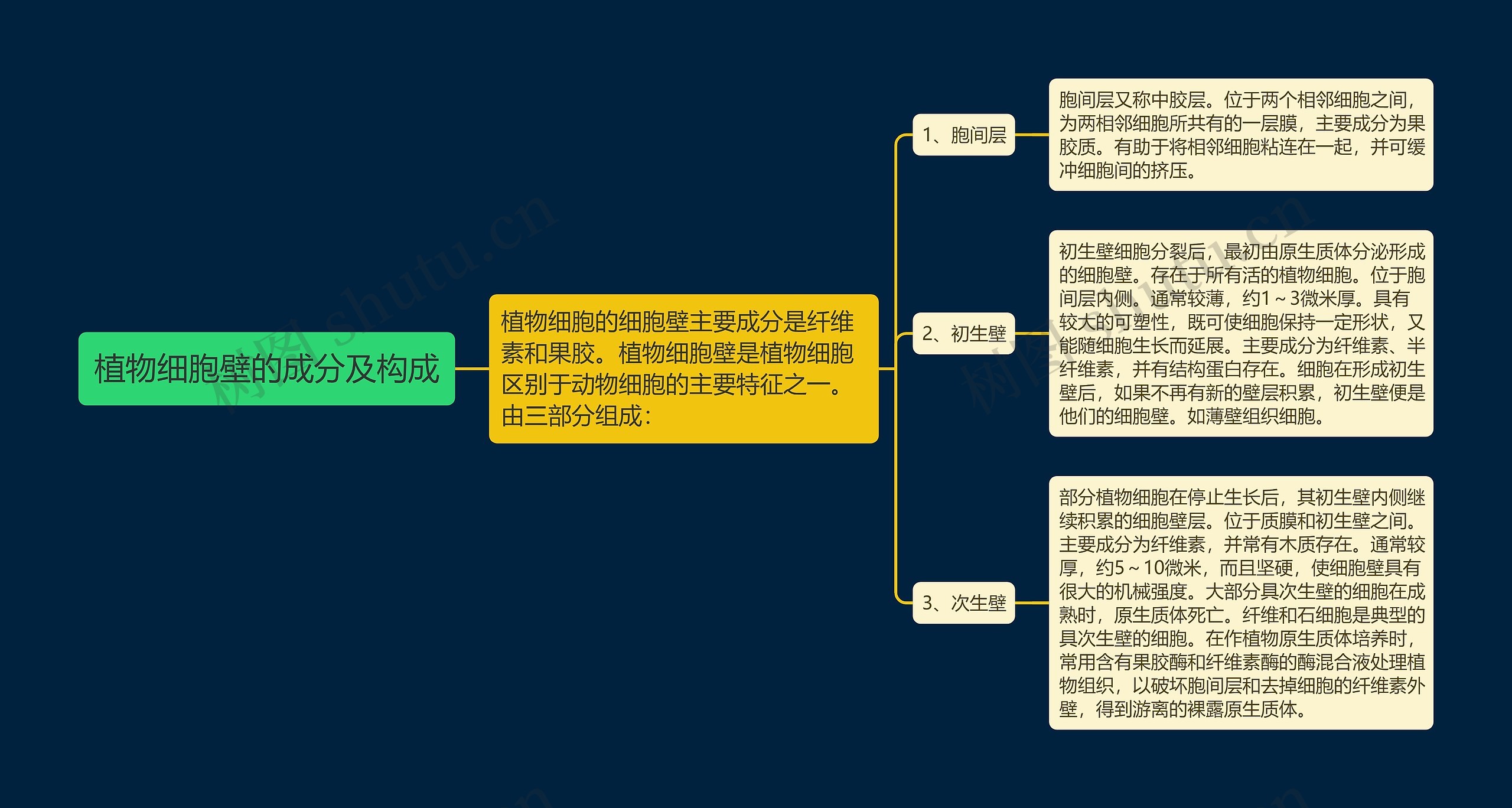 植物细胞壁的成分及构成思维导图