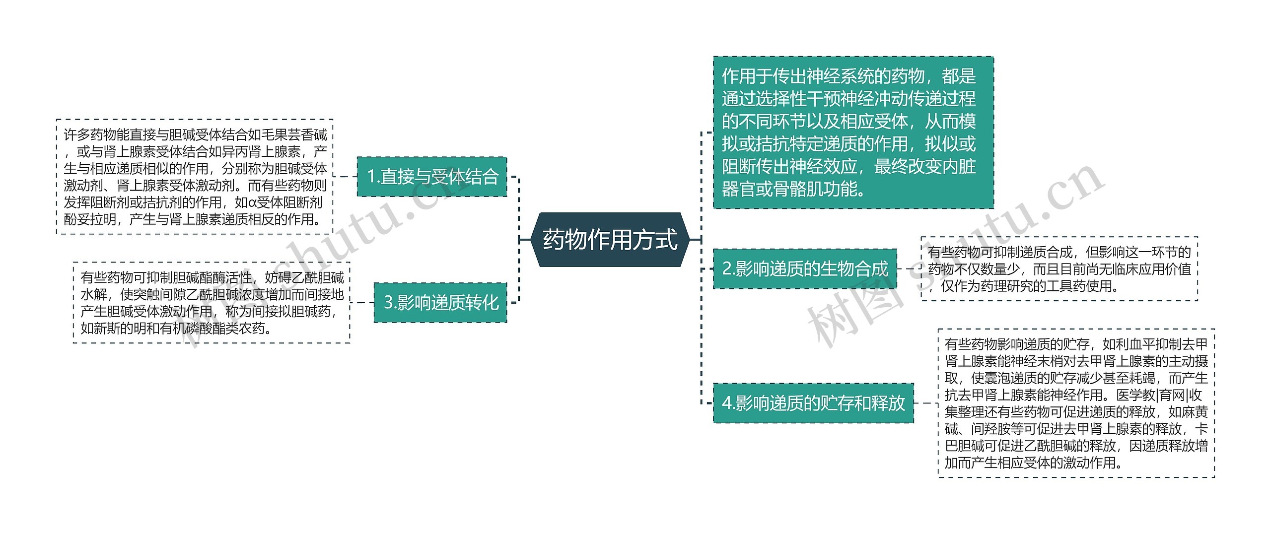 药物作用方式思维导图