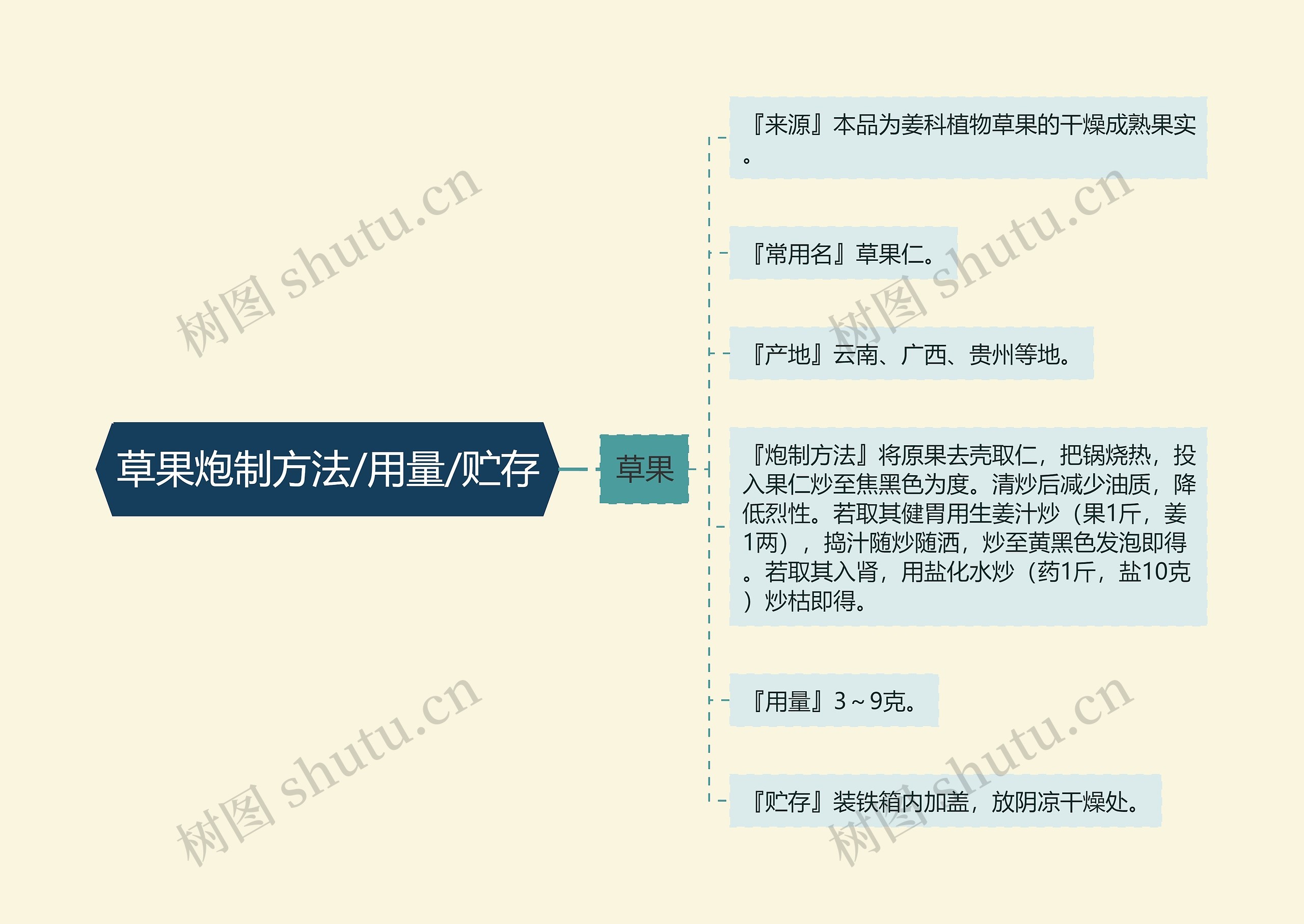 草果炮制方法/用量/贮存思维导图