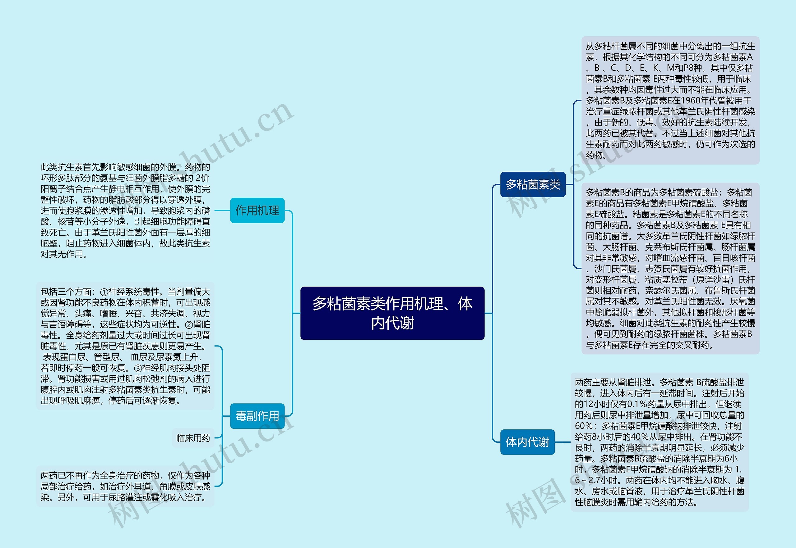 多粘菌素类作用机理、体内代谢思维导图