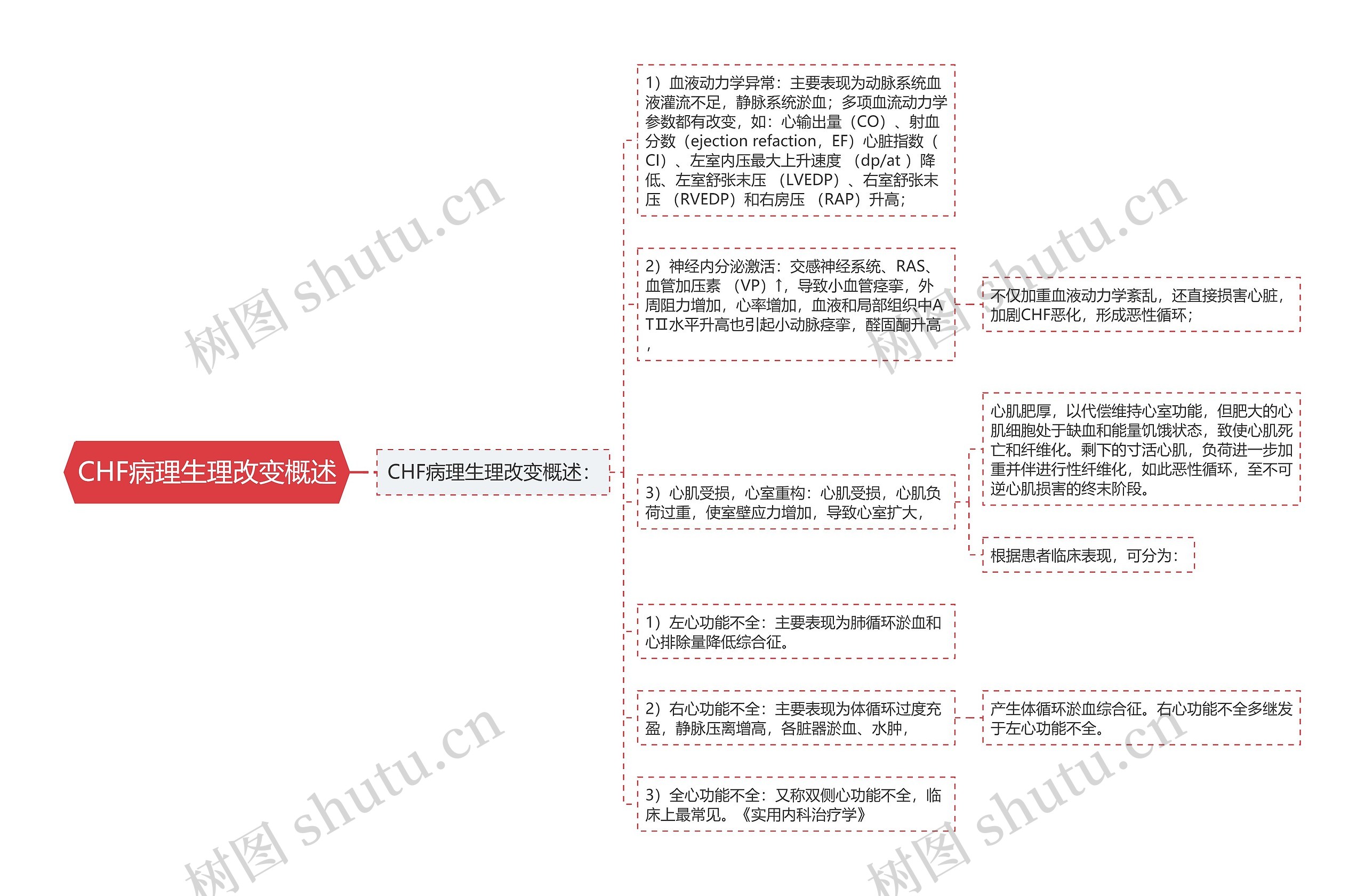 CHF病理生理改变概述