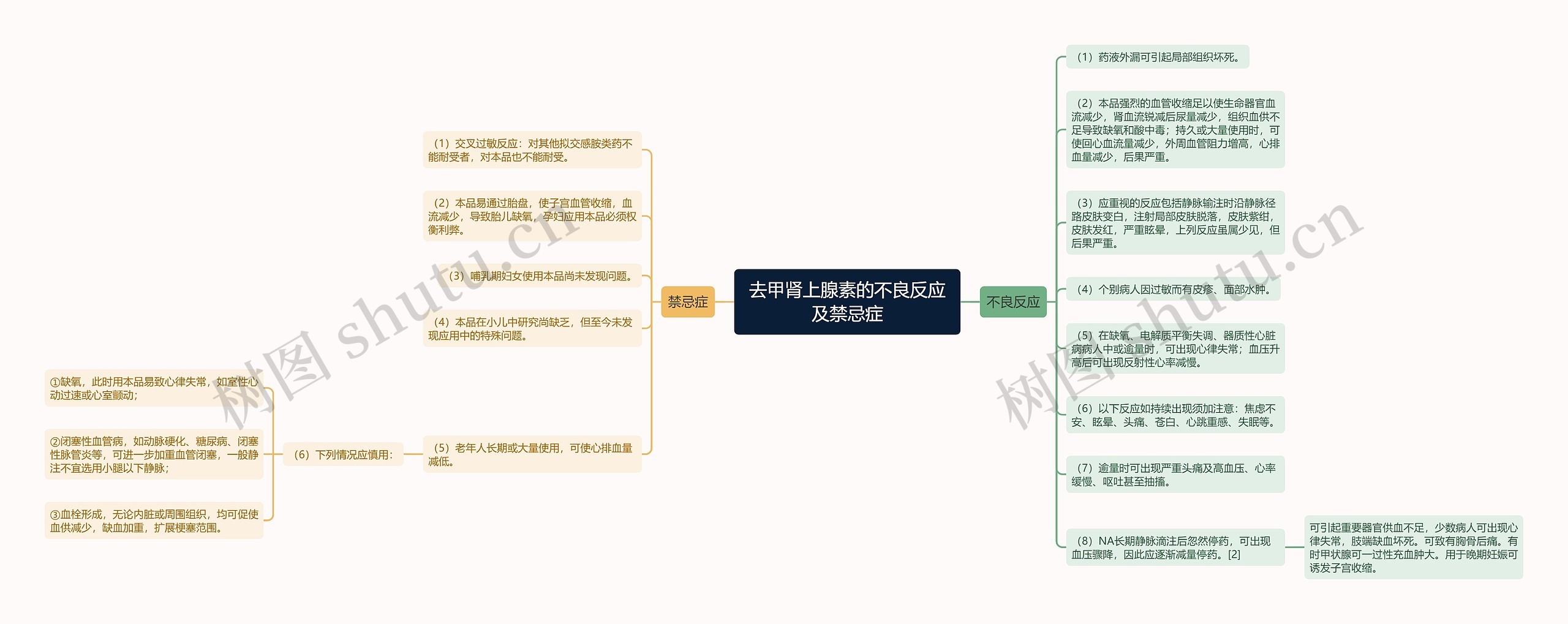 去甲肾上腺素的不良反应及禁忌症思维导图