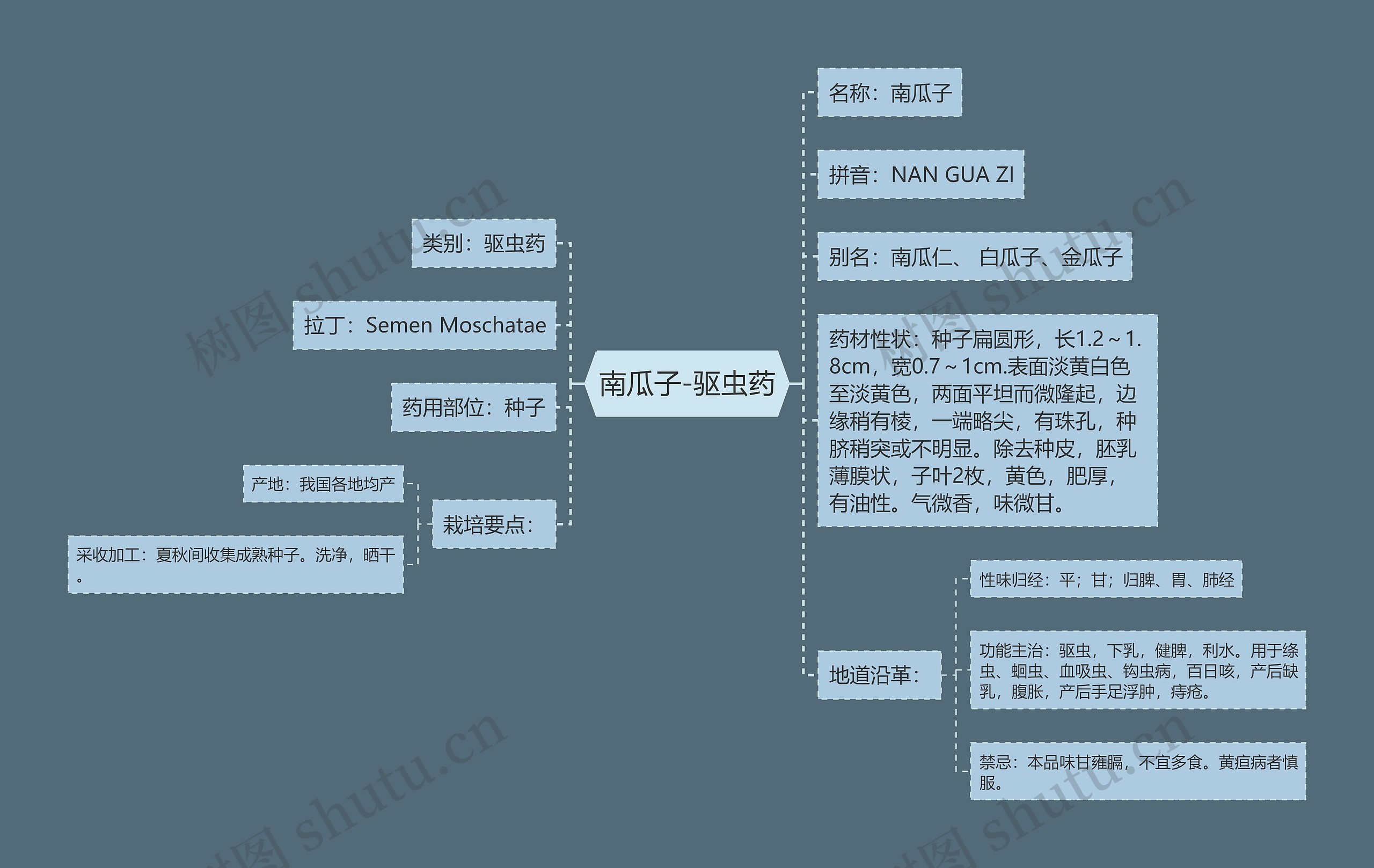 南瓜子-驱虫药 南瓜子-驱虫药