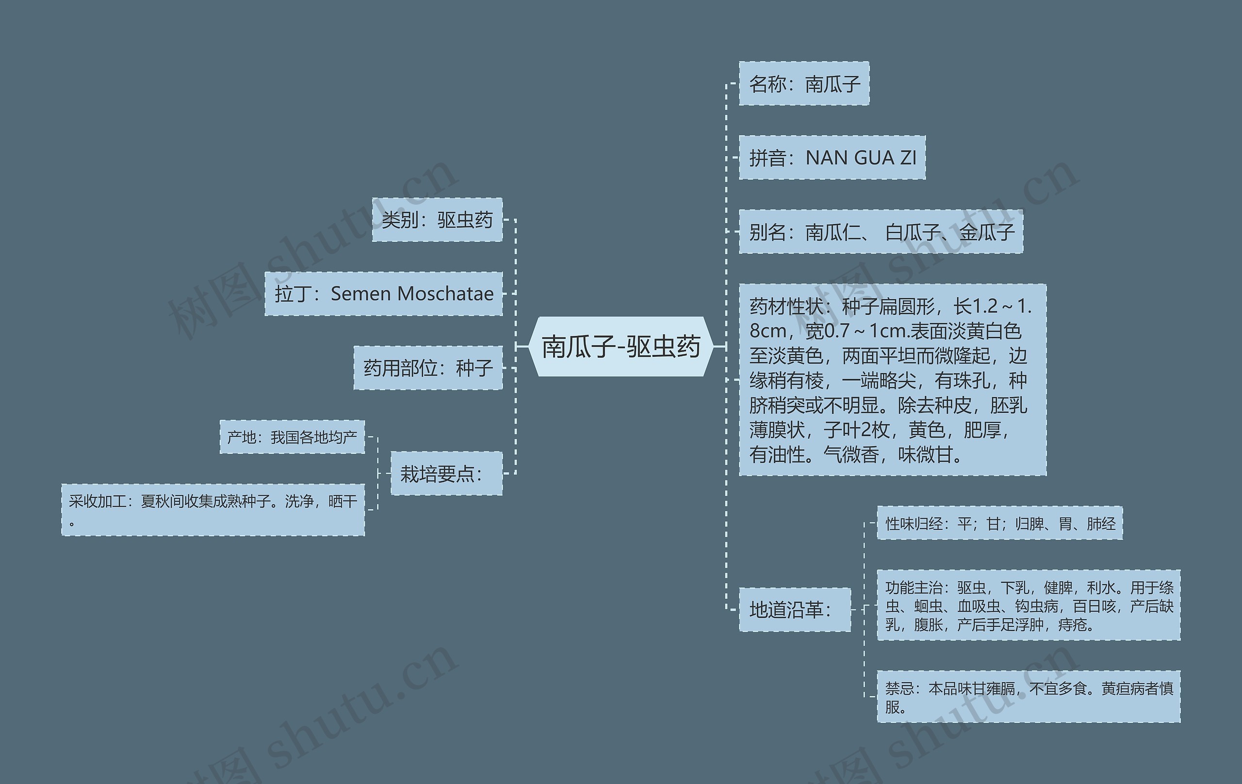 南瓜子-驱虫药思维导图