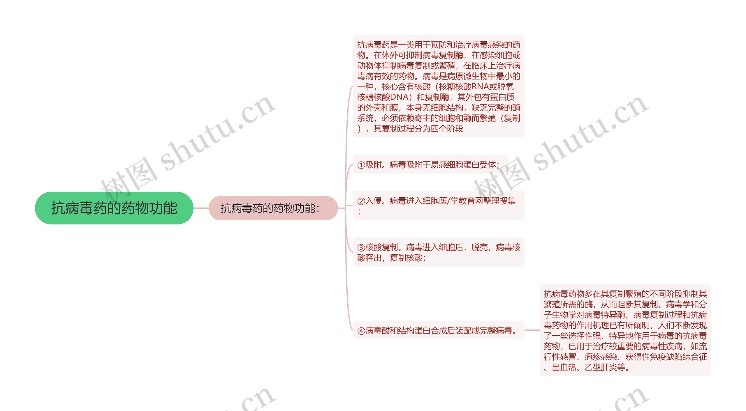 抗病毒药的药物功能思维导图