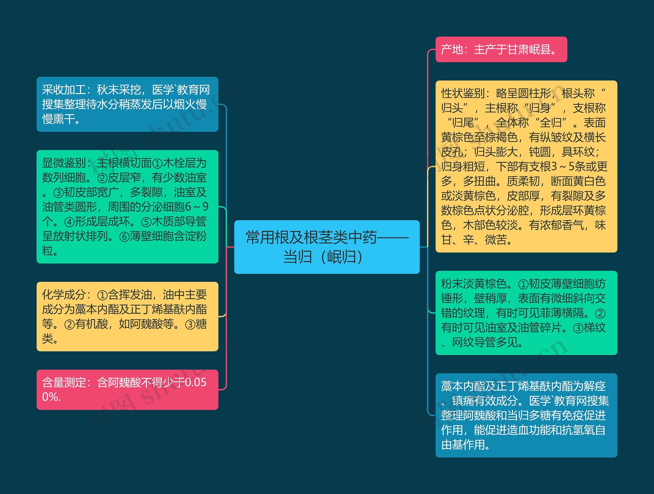 常用根及根茎类中药——当归(岷归) 常用根及根茎类中药——当归(岷归)