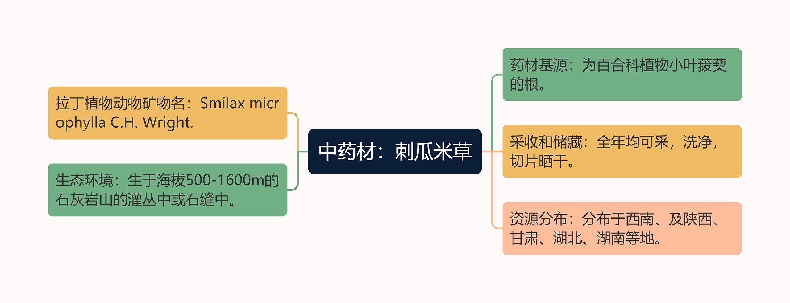 中药材：刺瓜米草思维导图