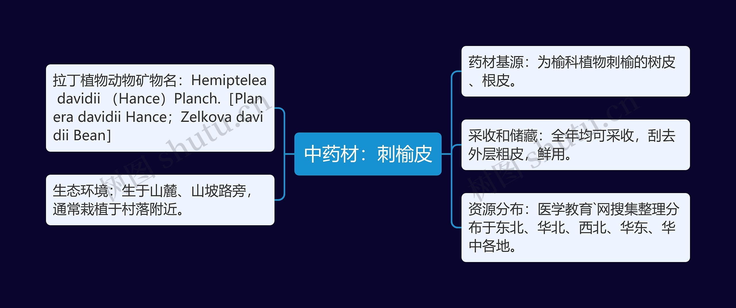 中药材：刺榆皮思维导图