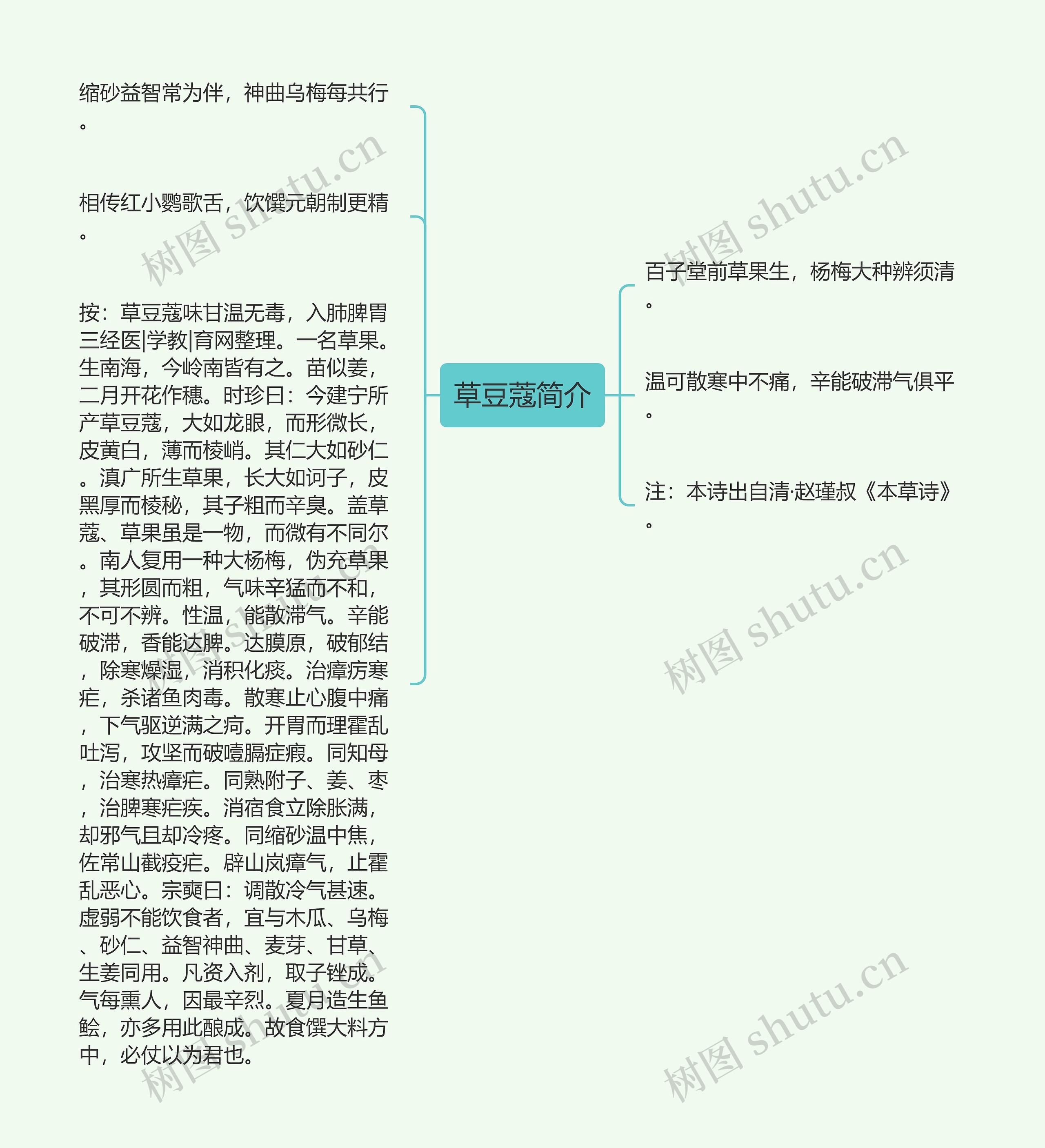 草豆蔻简介思维导图