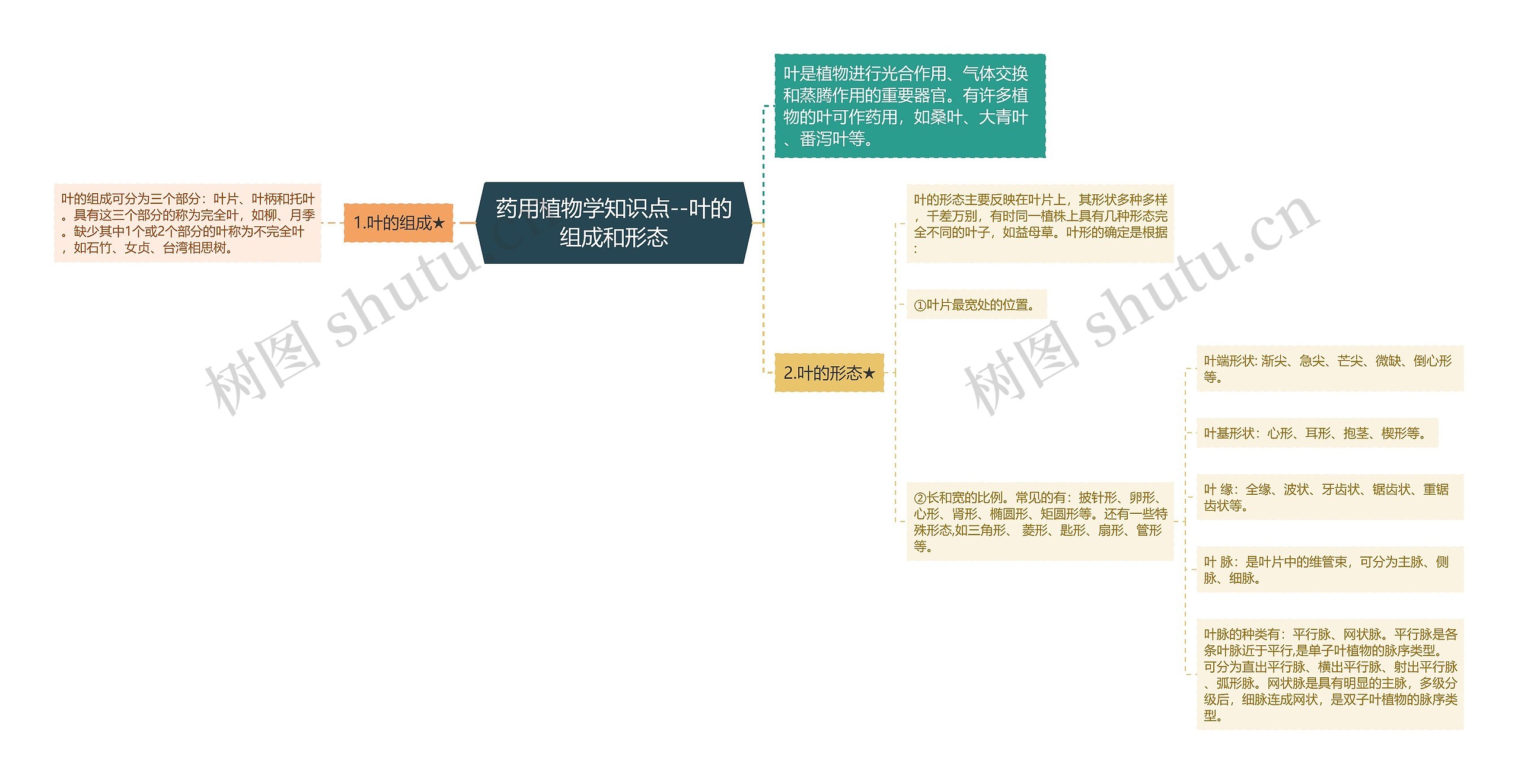 药用植物学知识点--叶的组成和形态思维导图