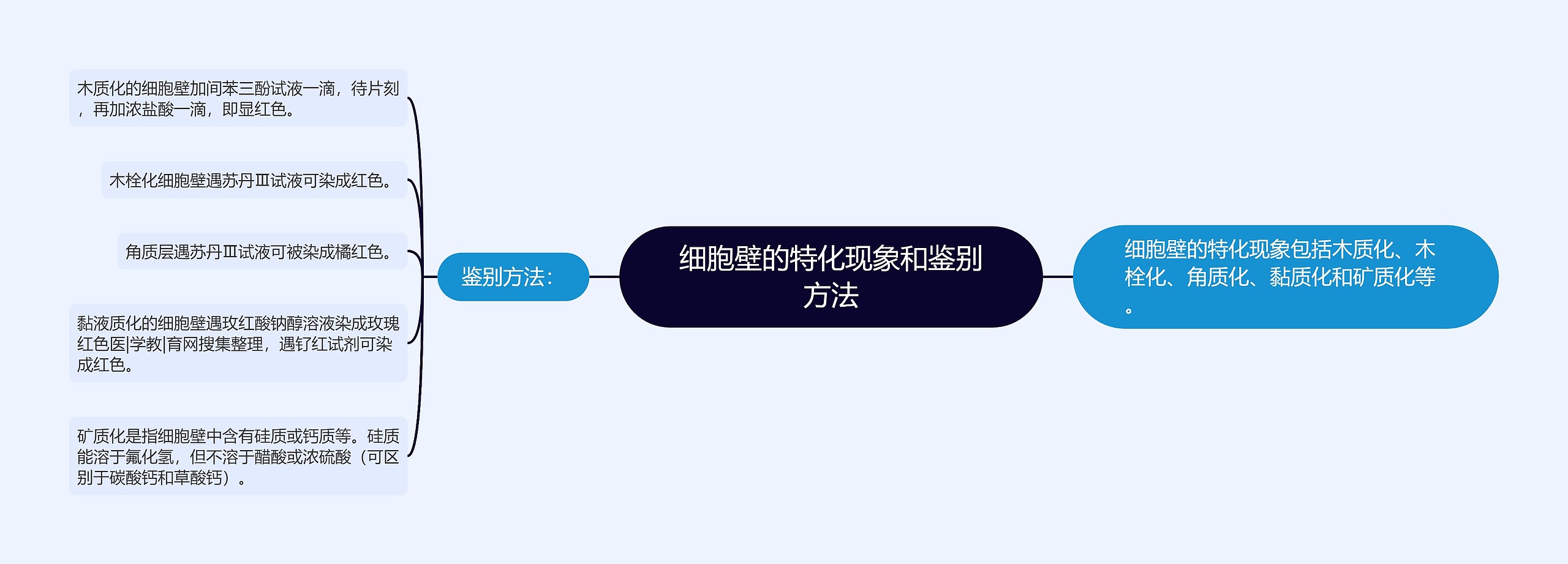 细胞壁的特化现象和鉴别方法思维导图