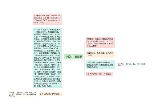 中药材：臭藤子